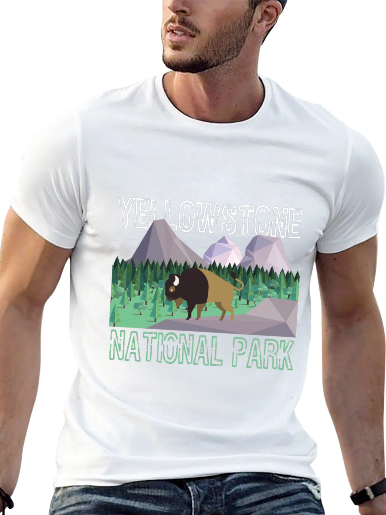 Yellowstone National Park Graphic Tee