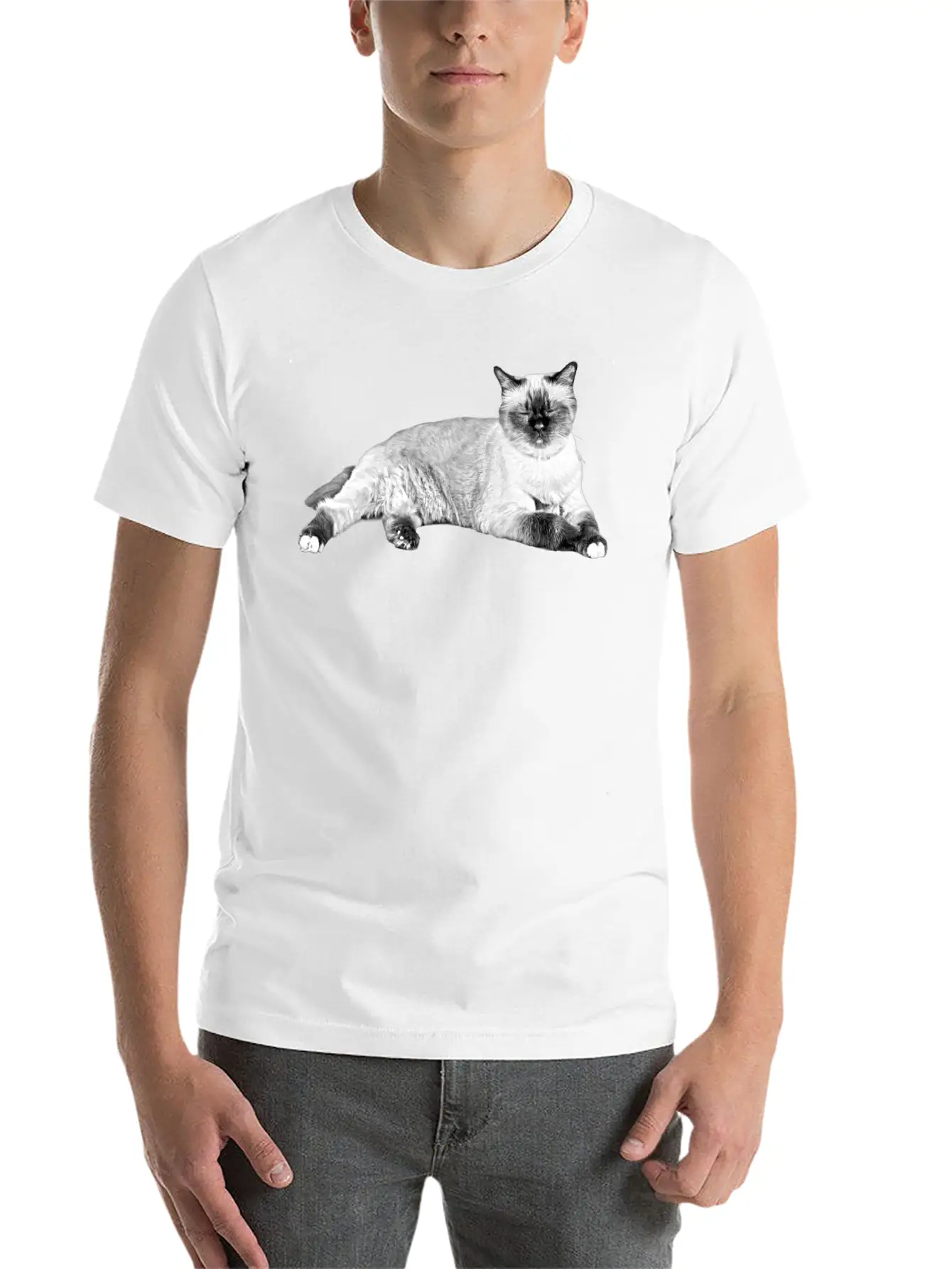Cats Sleeping Unisex Casual T-Shirt – Clean Design For Daily Comfort