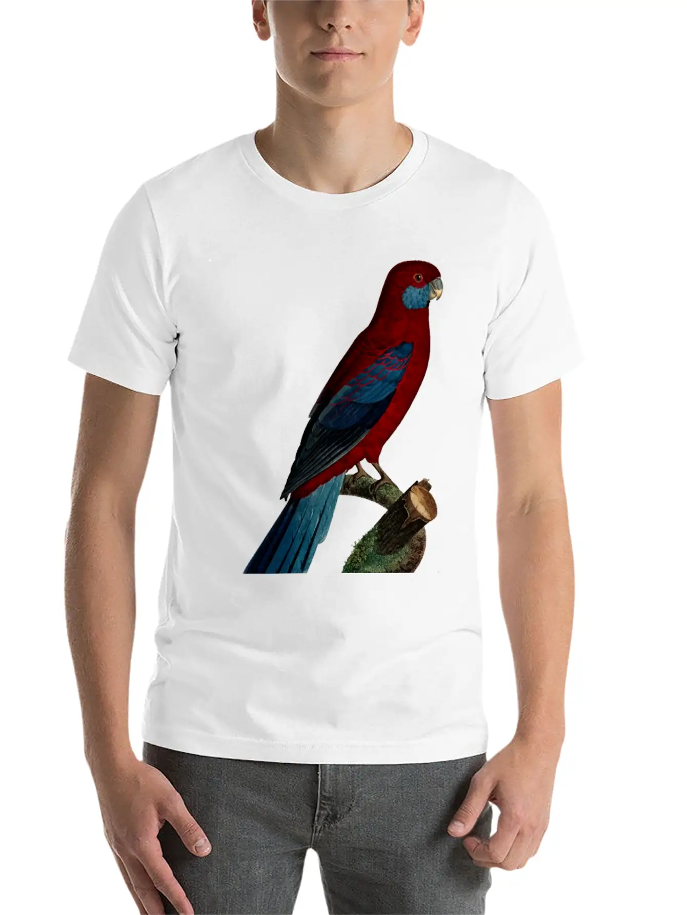 Parrot 13 Unisex Casual T-Shirt – Clean Design For Daily Comfort