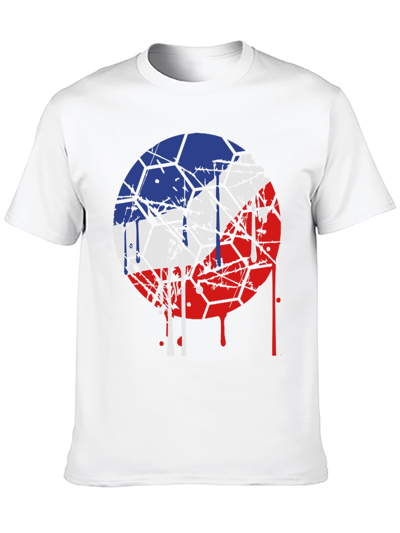 Czech Republic Flag Graphic Tee - Unique Design
