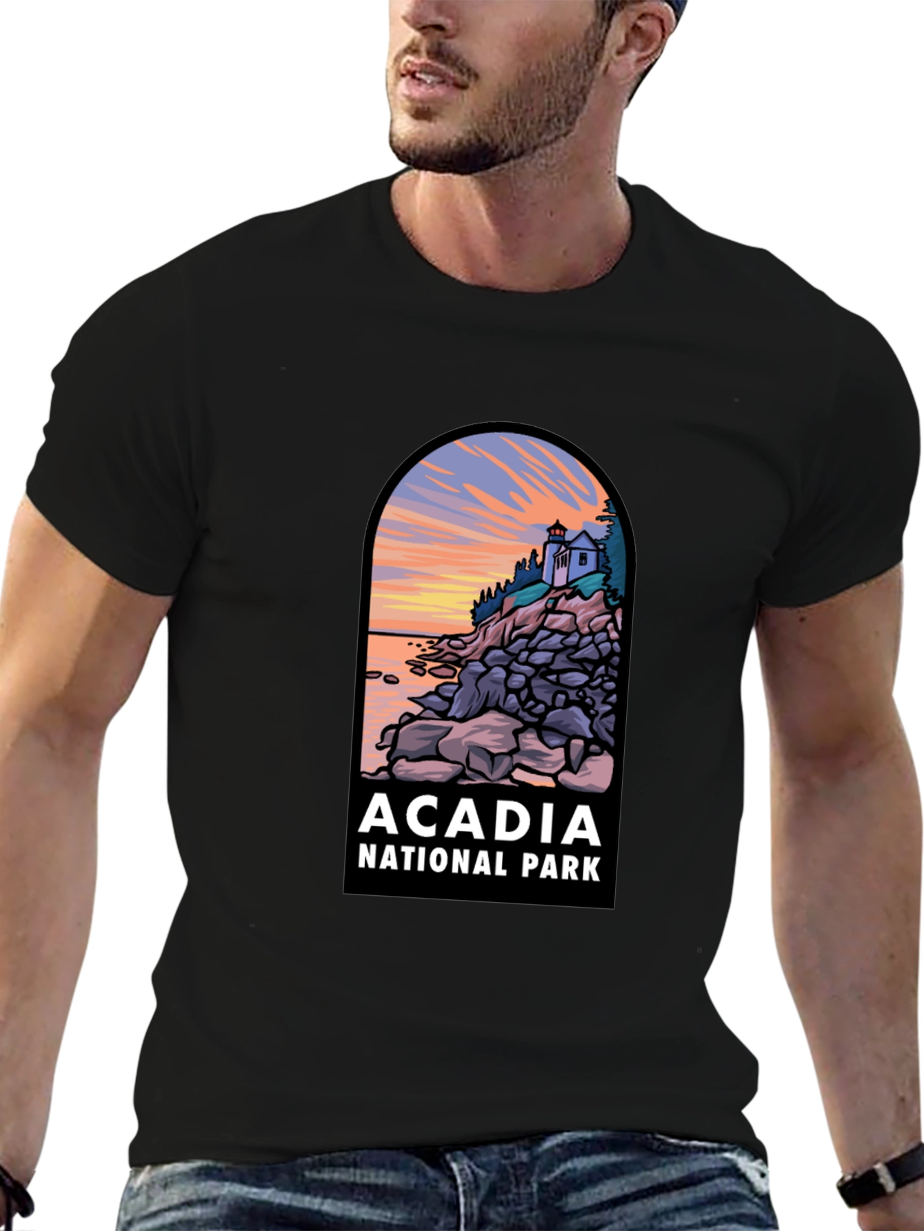 Acadia National Park T-Shirt - Landscape Graphic Tee