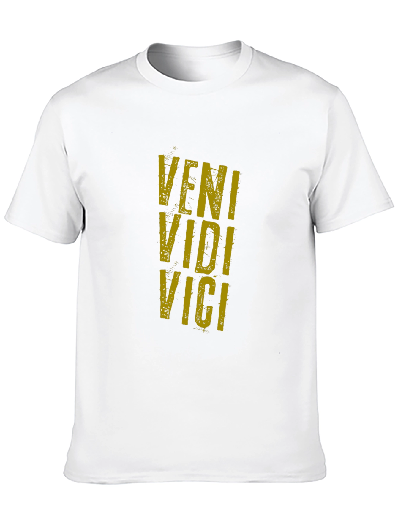 Veni Vidi Vici Graphic Tee - Classic Black