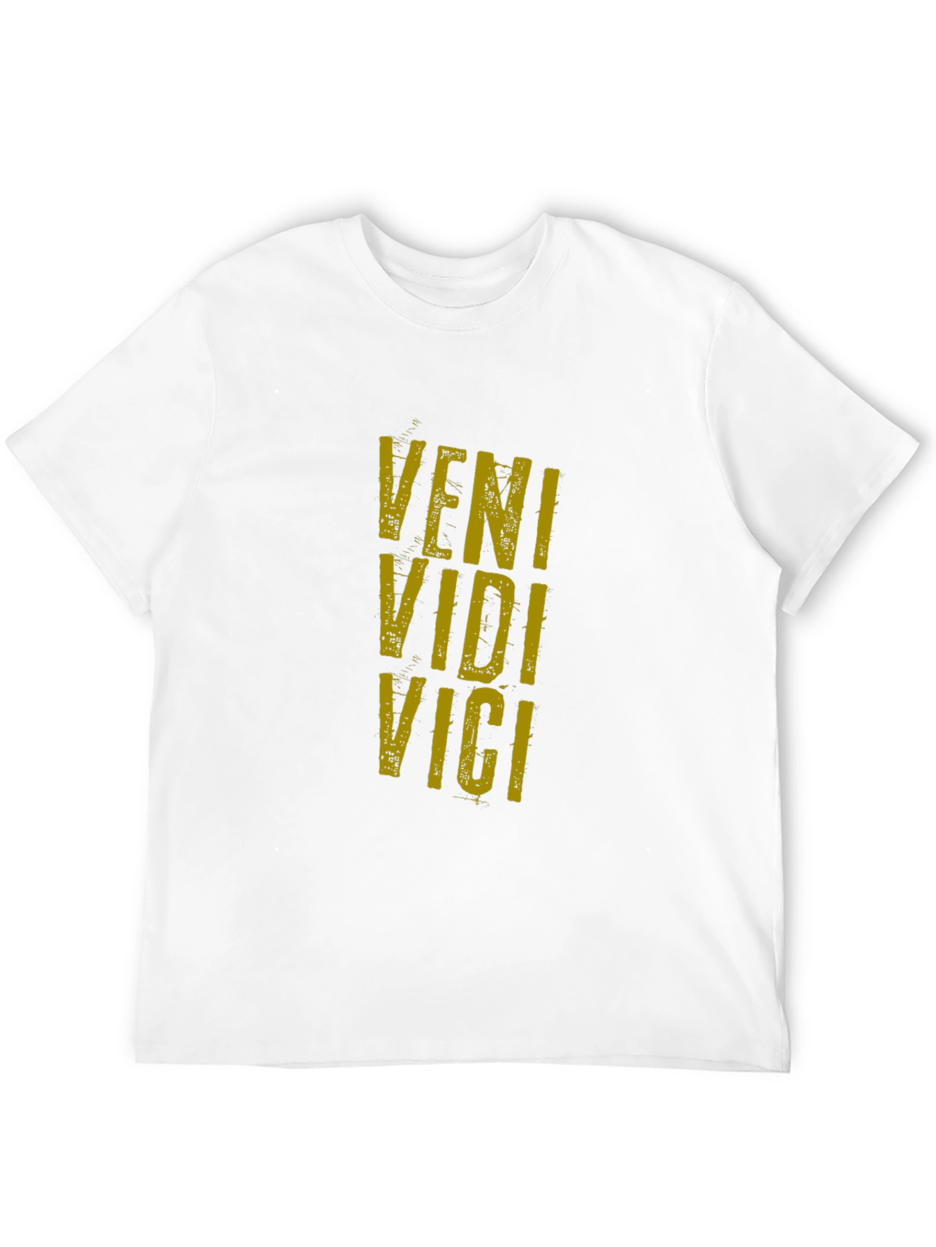 Veni Vidi Vici Graphic Tee - Classic Black