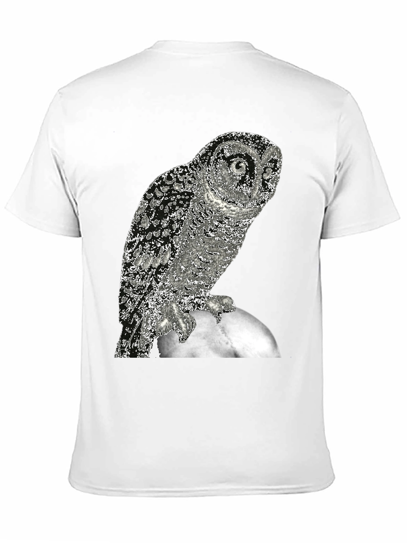 Owl on the Moon Graphic T-Shirt