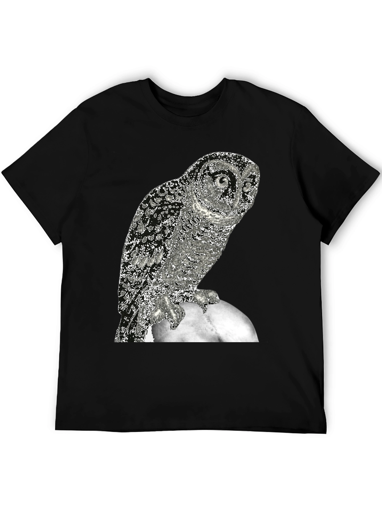 Owl on the Moon Graphic T-Shirt