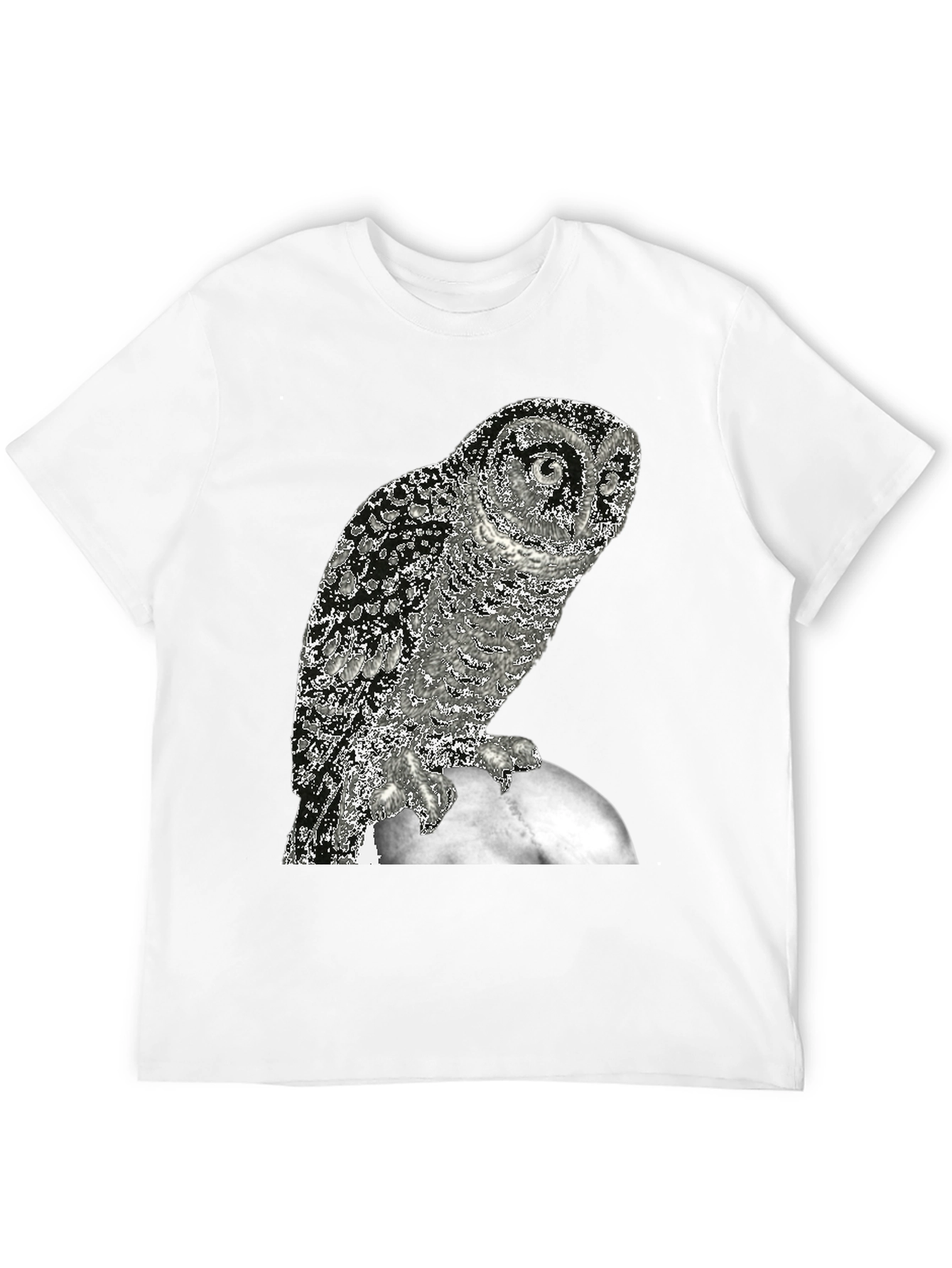 Owl on the Moon Graphic T-Shirt