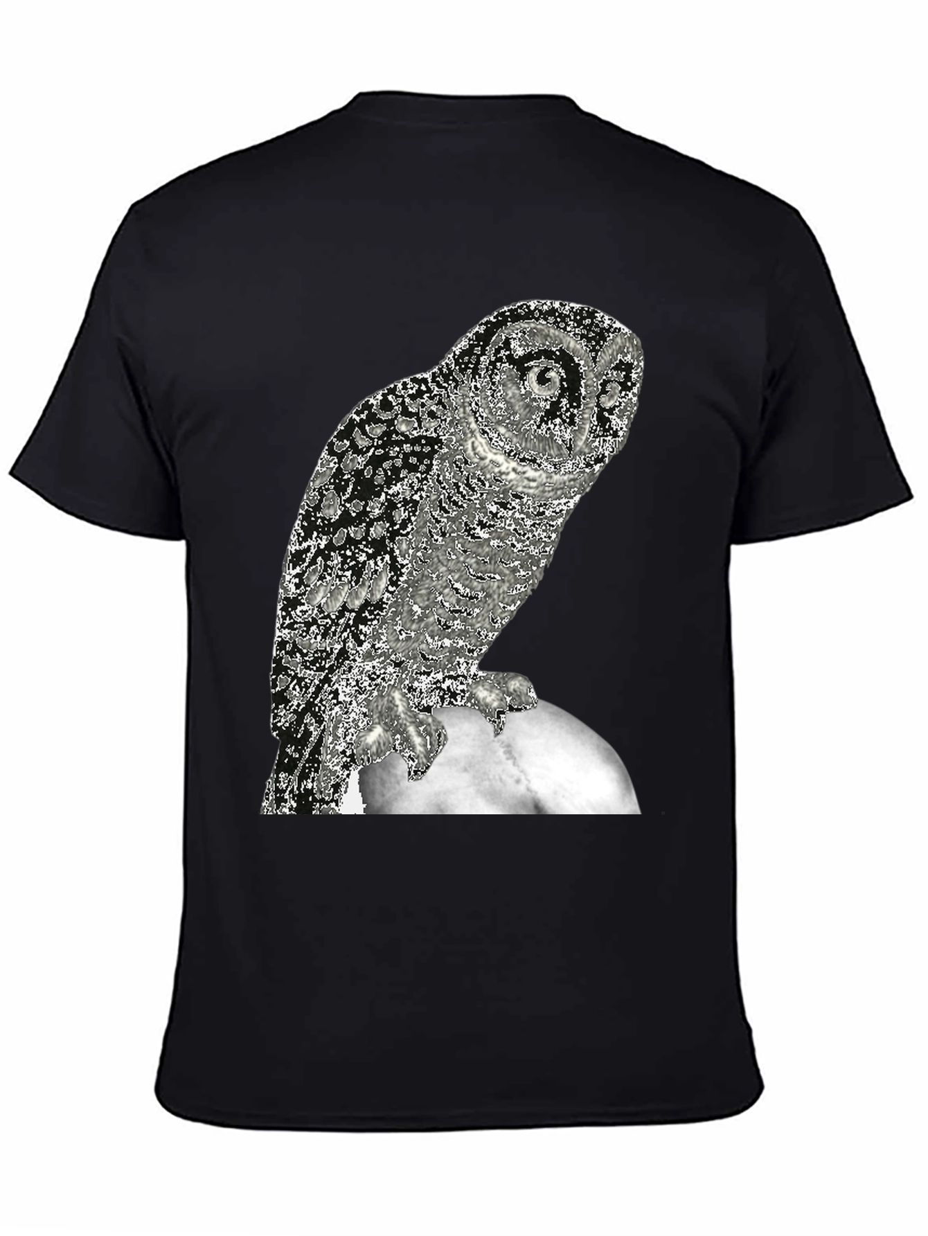 Owl on the Moon Graphic T-Shirt