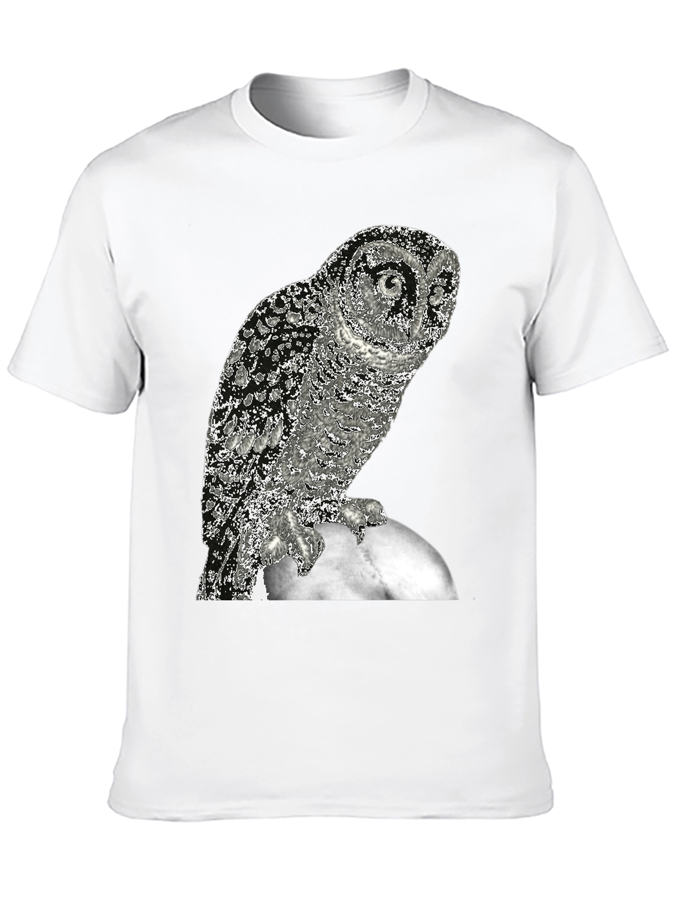 Owl on the Moon Graphic T-Shirt
