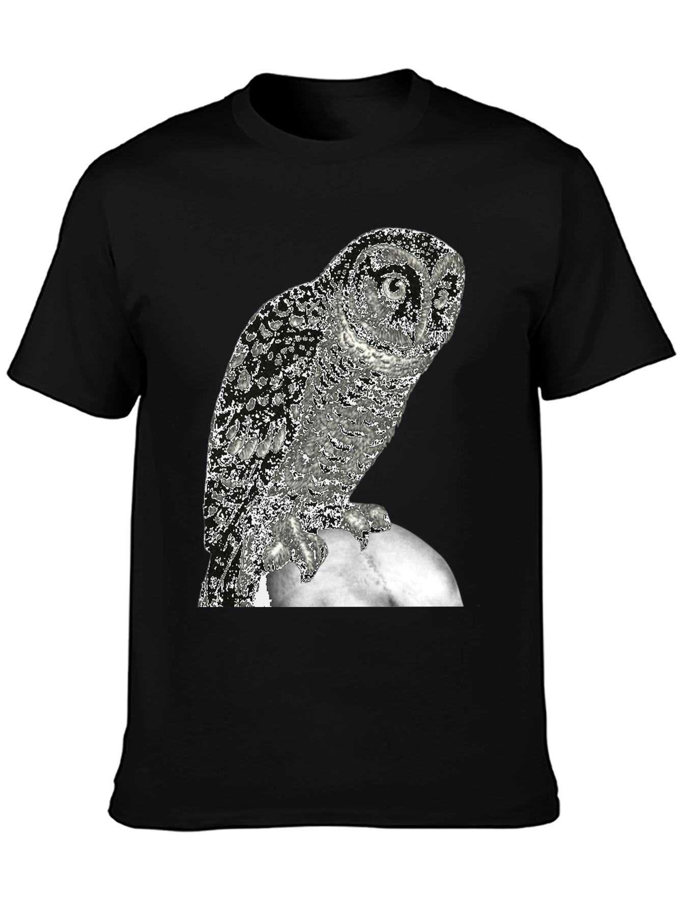 Owl on the Moon Graphic T-Shirt