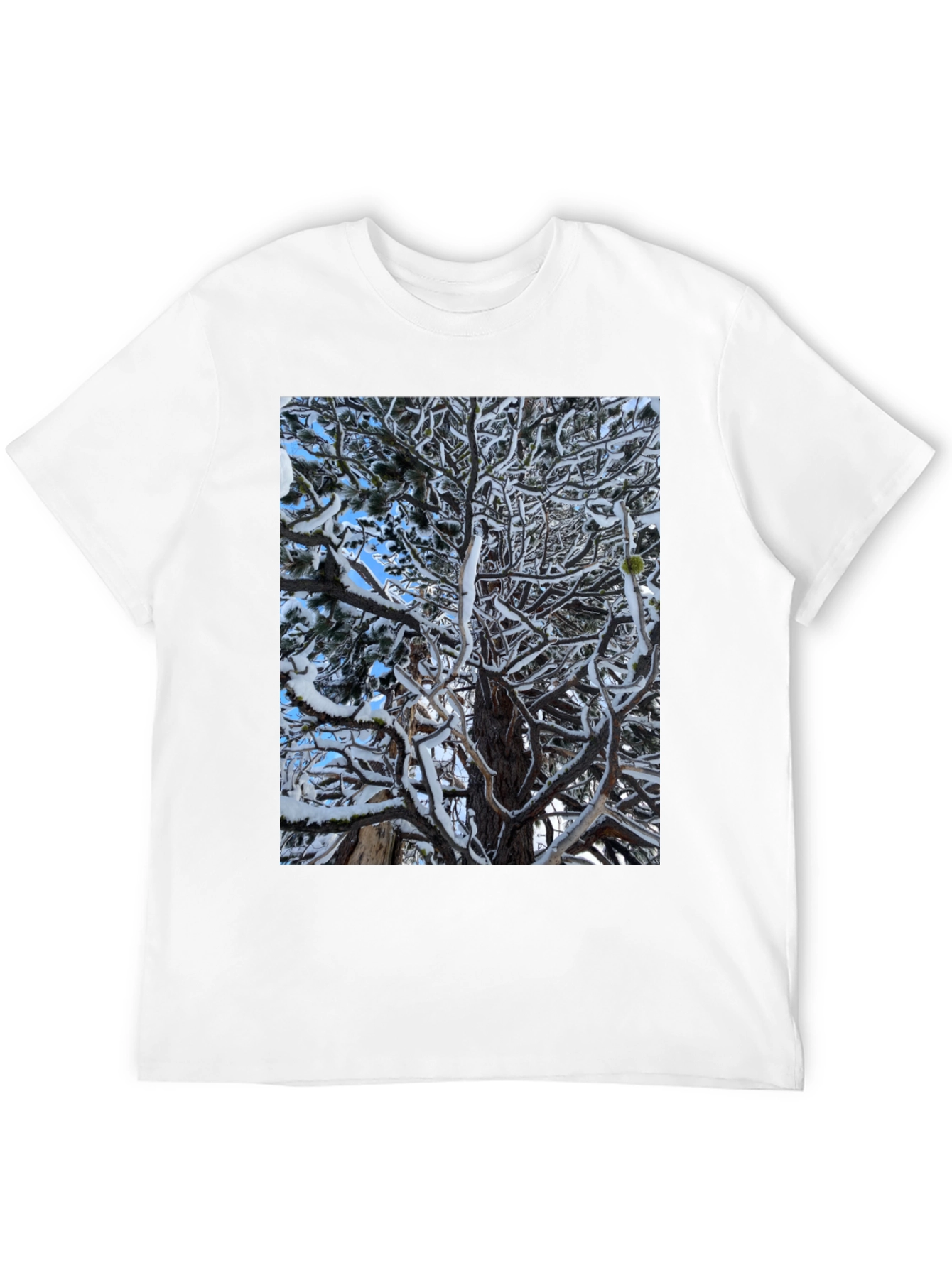 Winter Tree Graphic Black T-Shirt