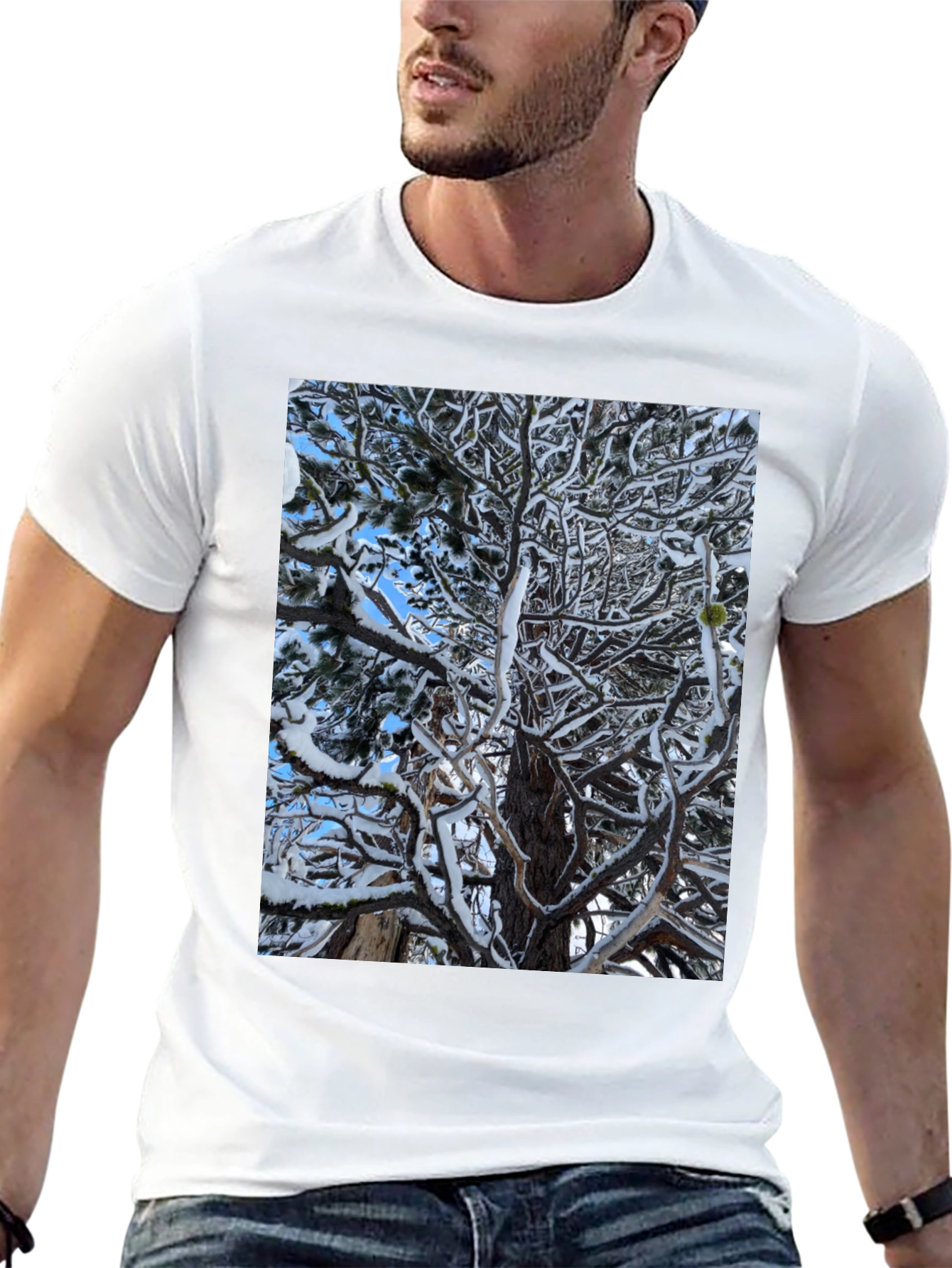 Winter Tree Graphic Black T-Shirt