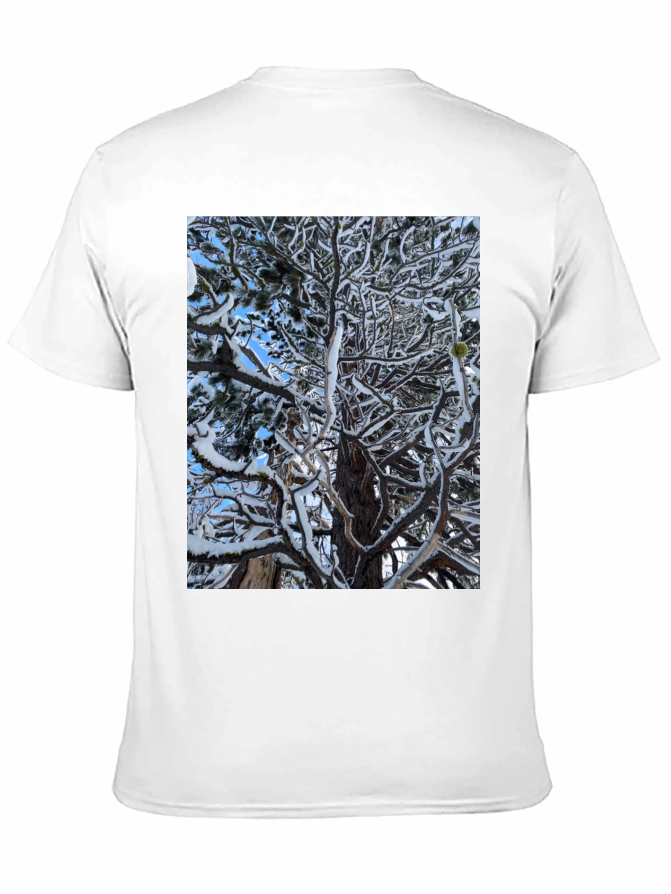 Winter Tree Graphic Black T-Shirt