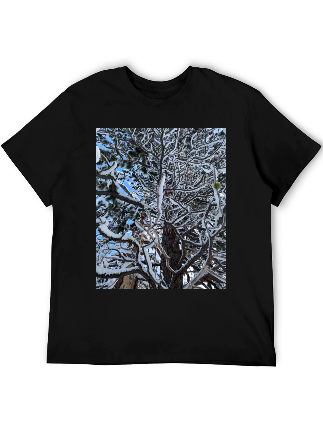 Winter Tree Graphic Black T-Shirt