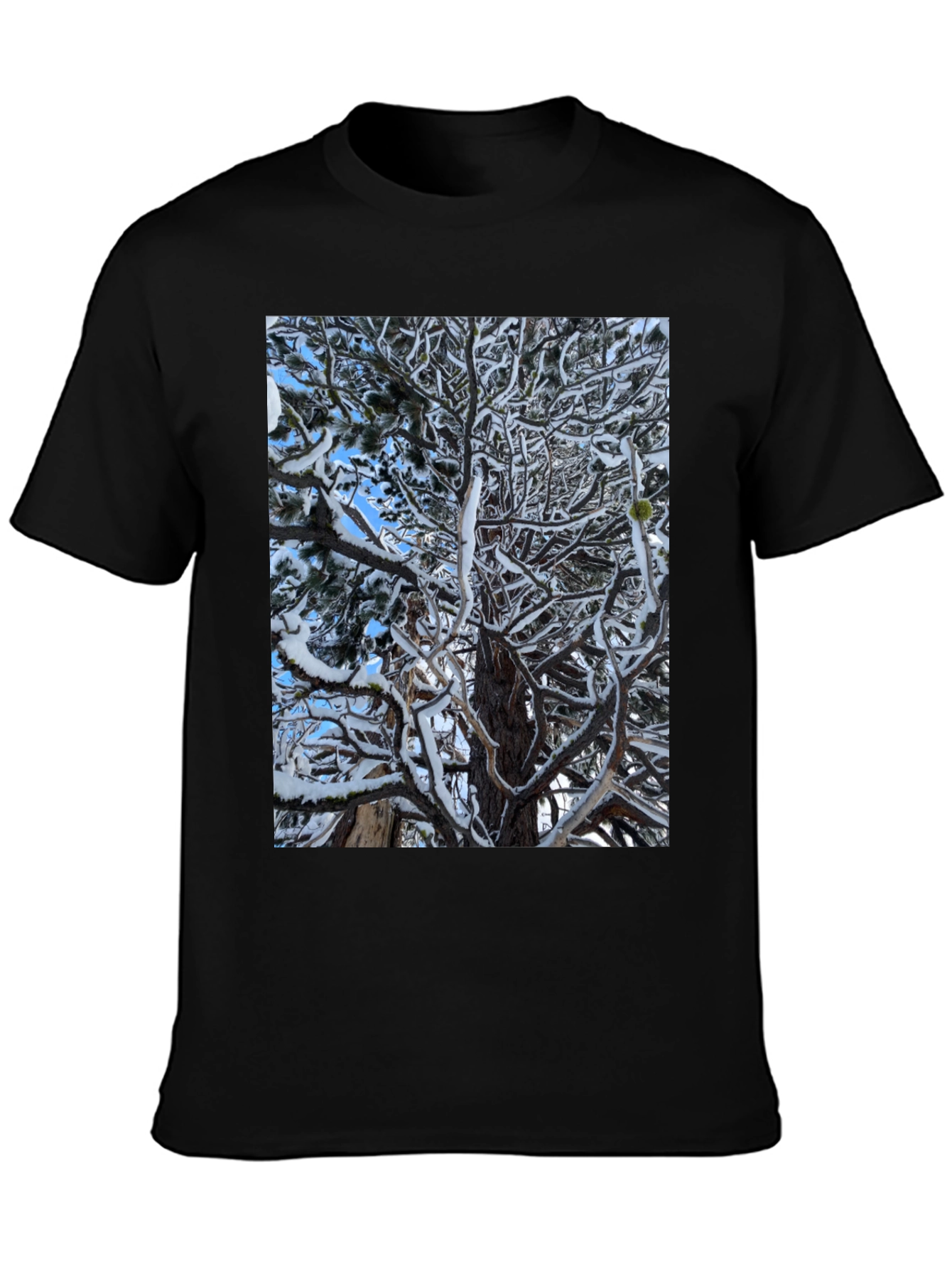 Winter Tree Graphic Black T-Shirt