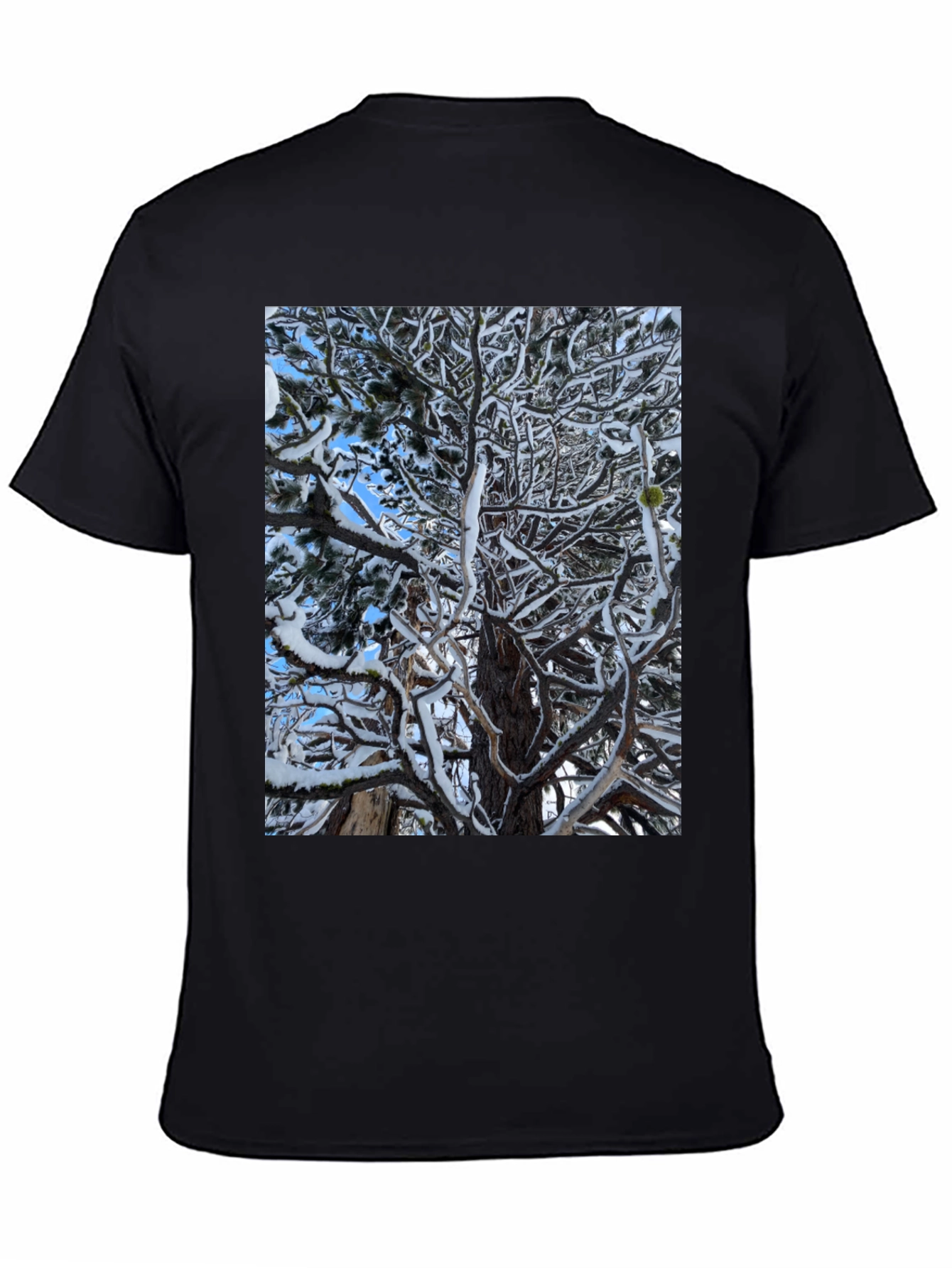 Winter Tree Graphic Black T-Shirt
