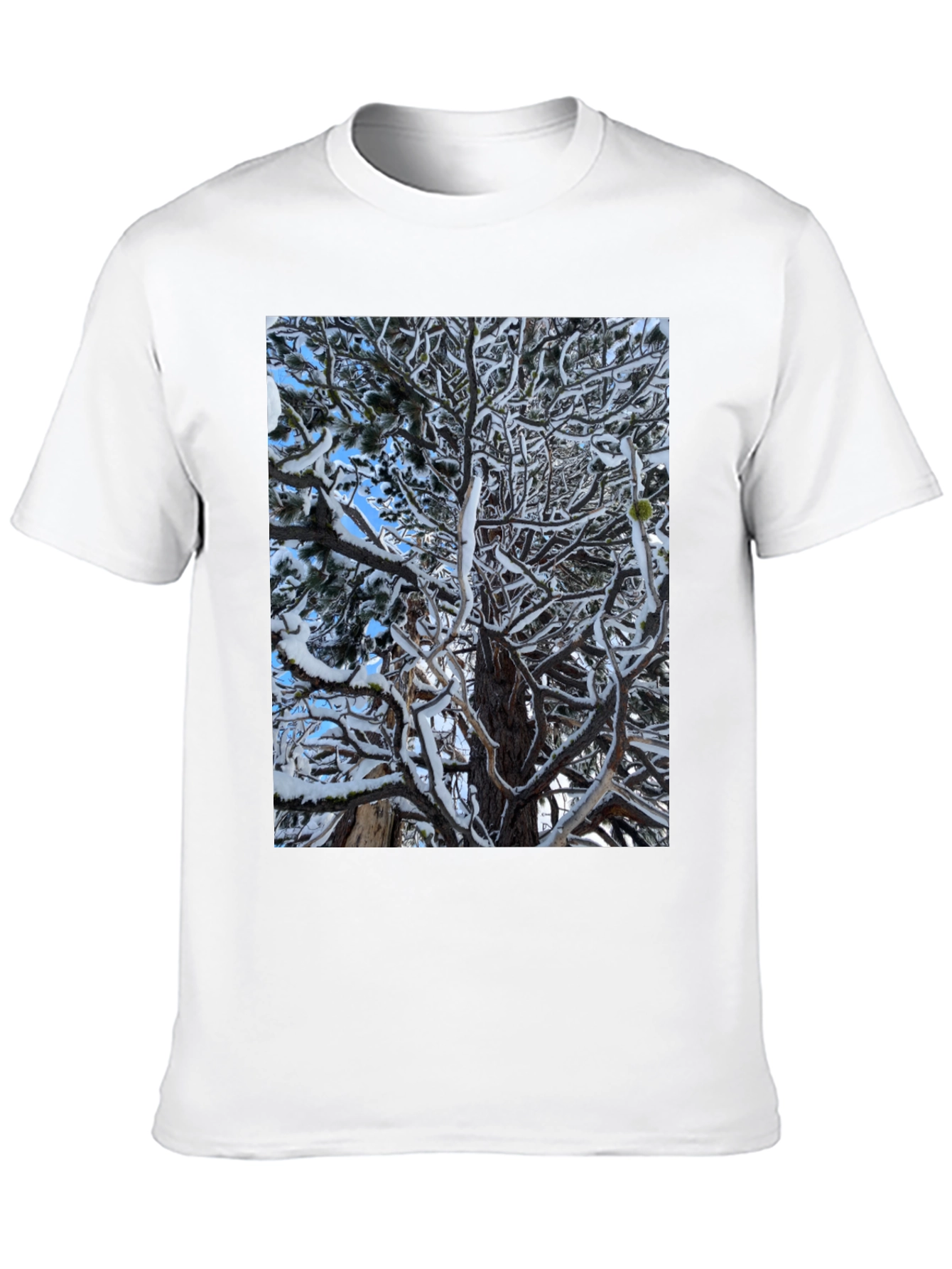 Winter Tree Graphic Black T-Shirt