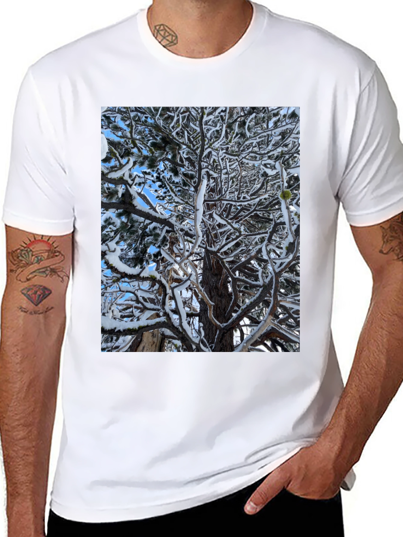 Winter Tree Graphic Black T-Shirt