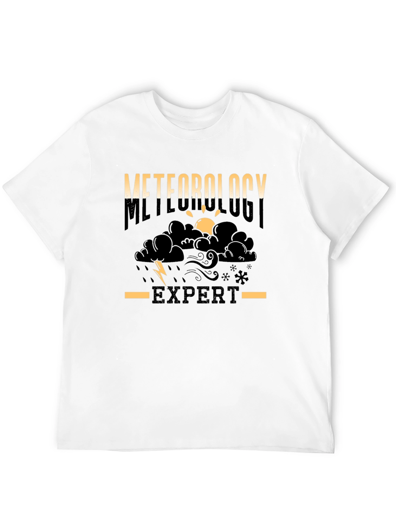 Meteorology Expert Black T-Shirt