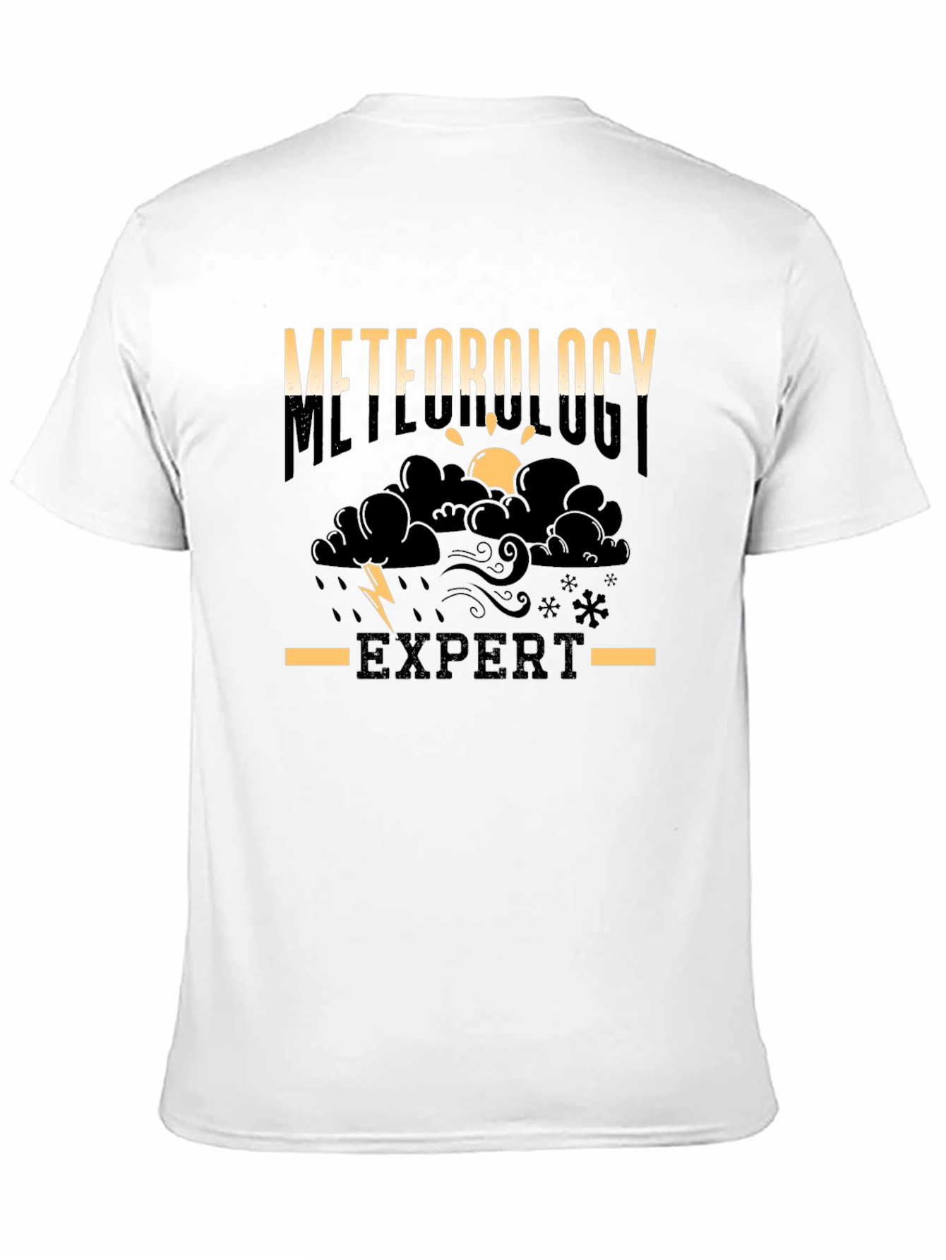 Meteorology Expert Black T-Shirt