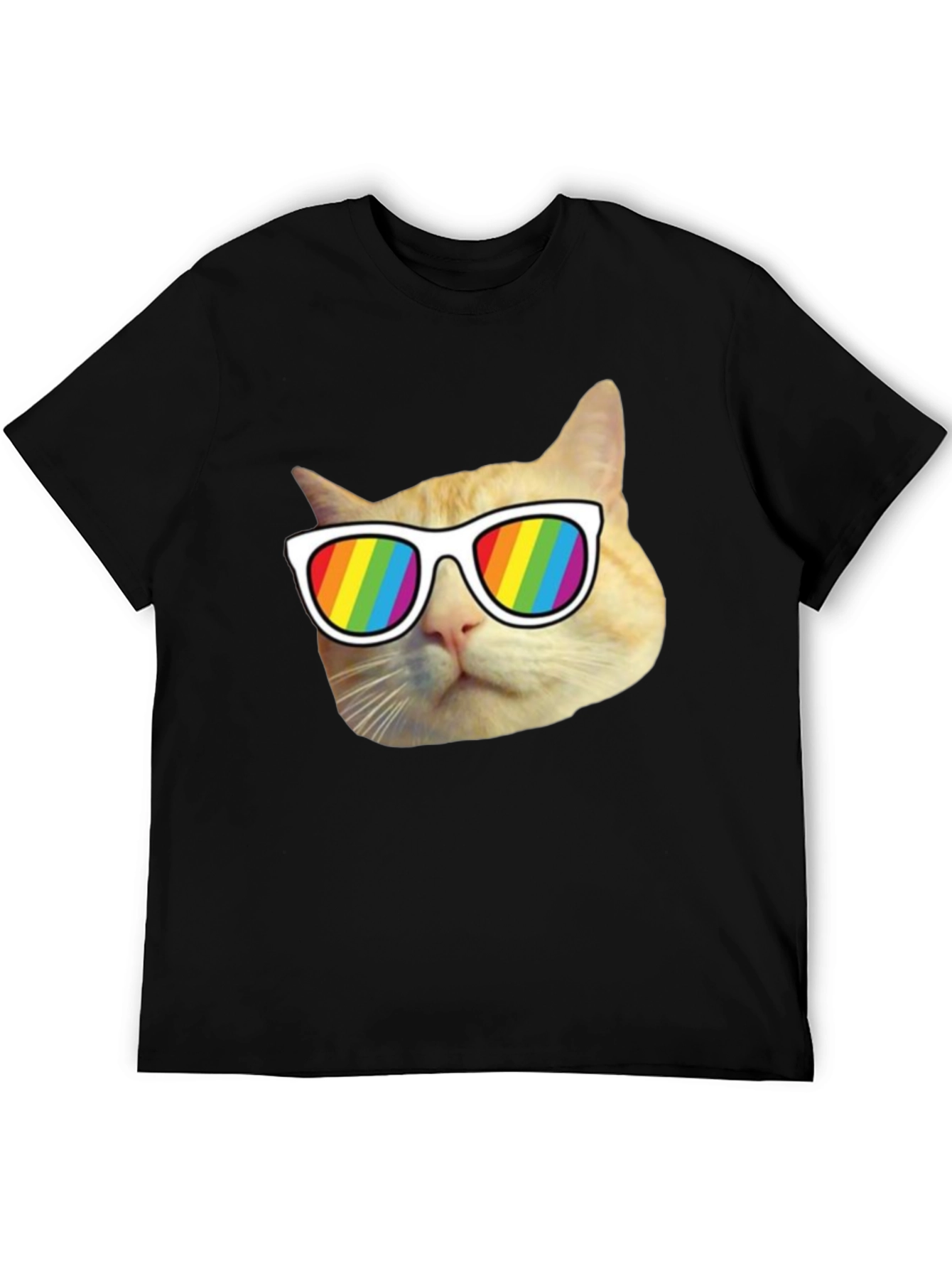 Cool Cat Pride T-Shirt - Rainbow Shades