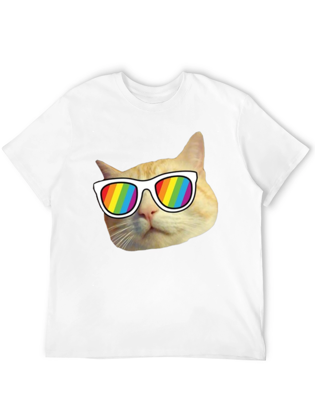 Cool Cat Pride T-Shirt - Rainbow Shades
