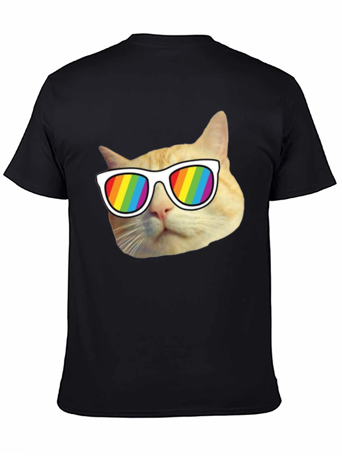 Cool Cat Pride T-Shirt - Rainbow Shades