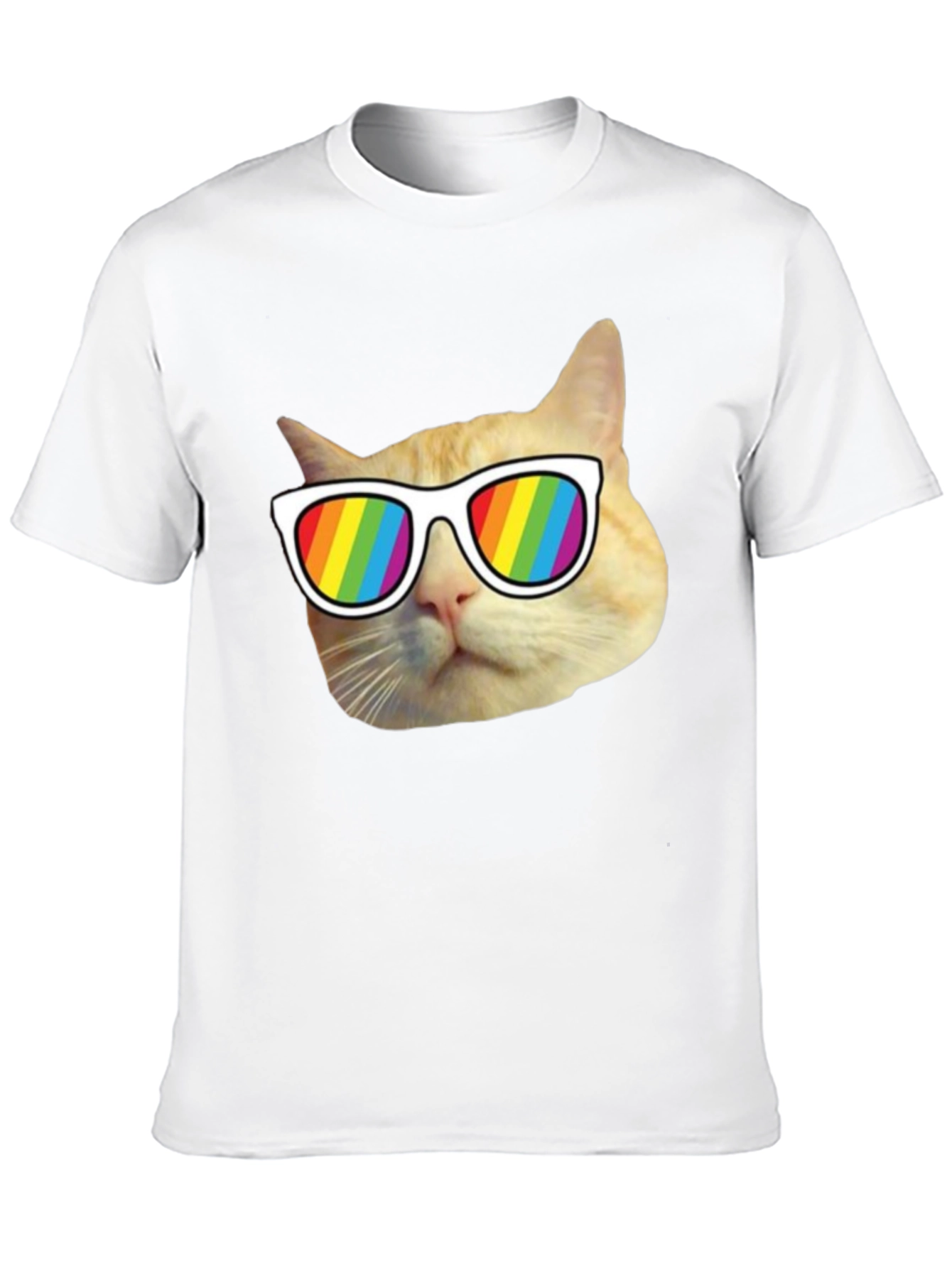 Cool Cat Pride T-Shirt - Rainbow Shades