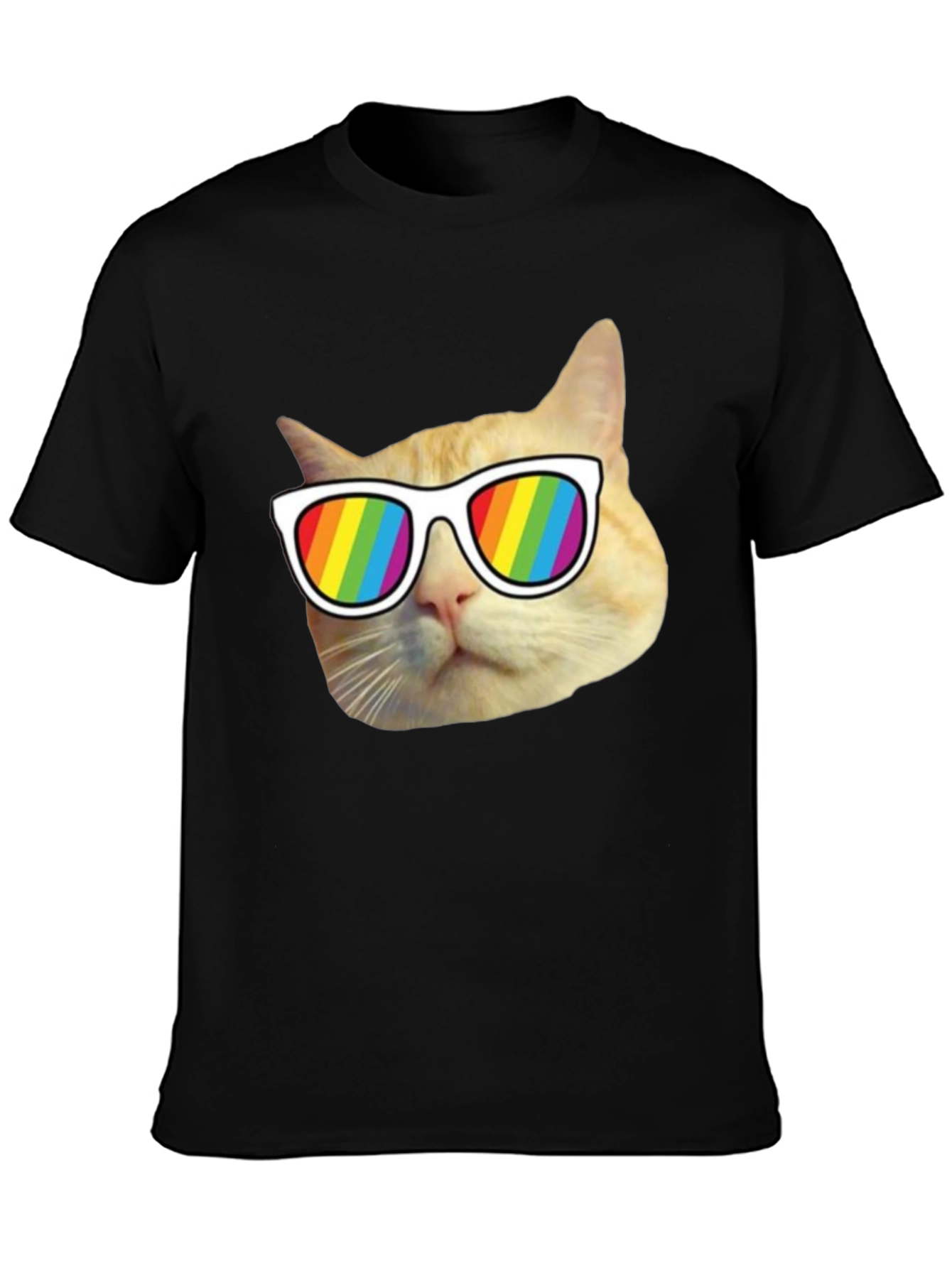 Cool Cat Pride T-Shirt - Rainbow Shades