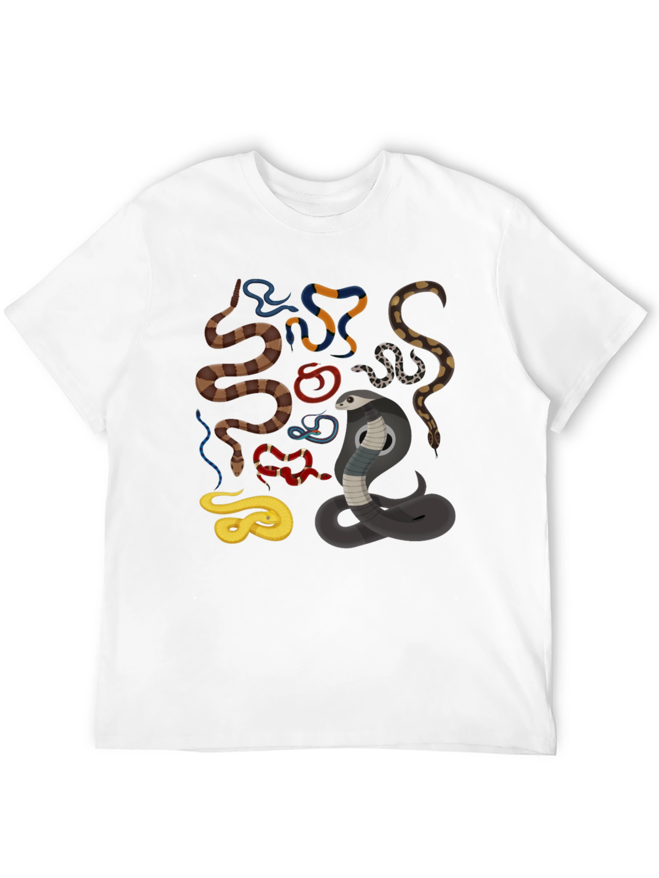 Mens Snake Graphic Black T-Shirt