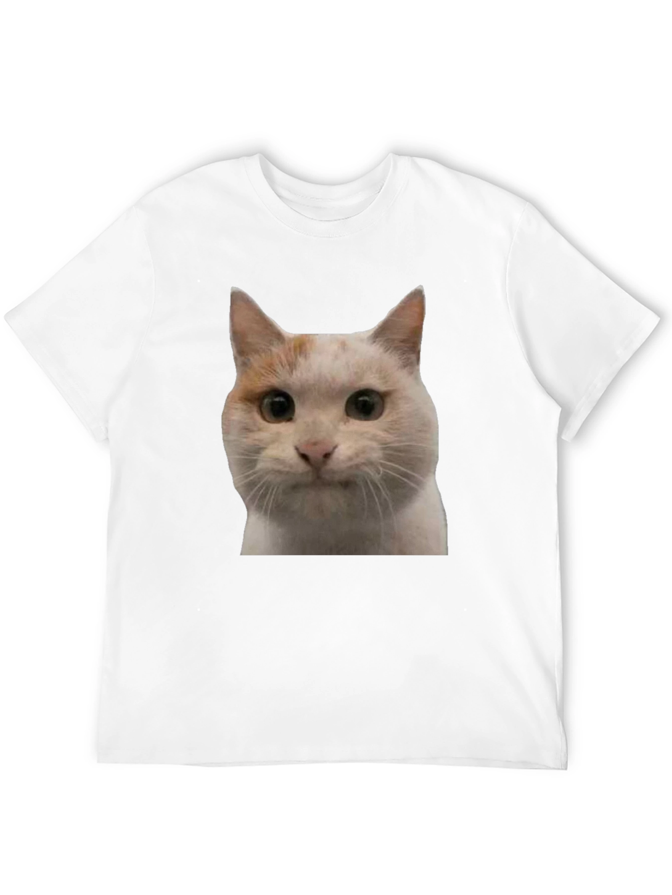 Cat Graphic Black T-Shirt