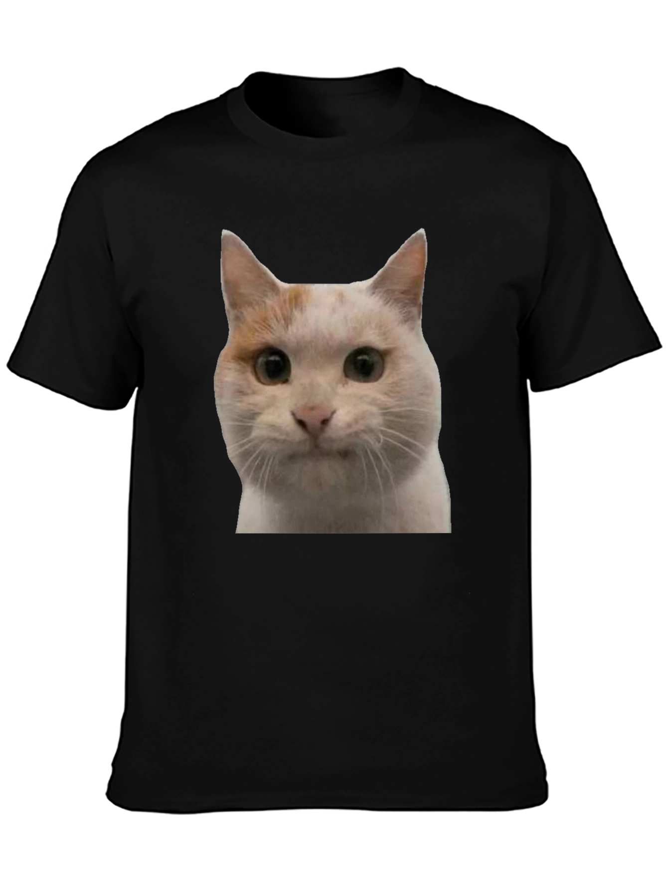 Cat Graphic Black T-Shirt