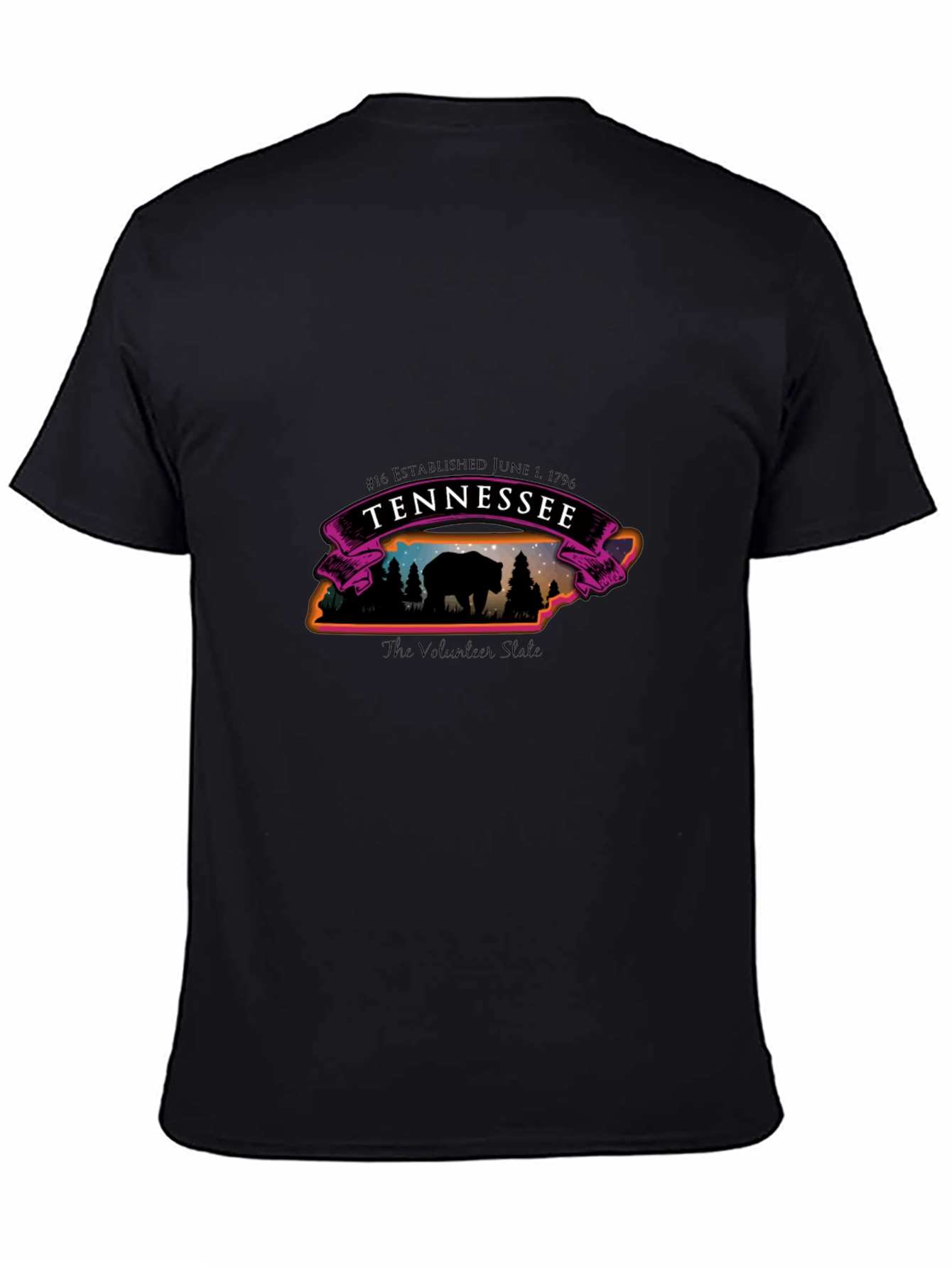 Tennessee Bear State T-Shirt