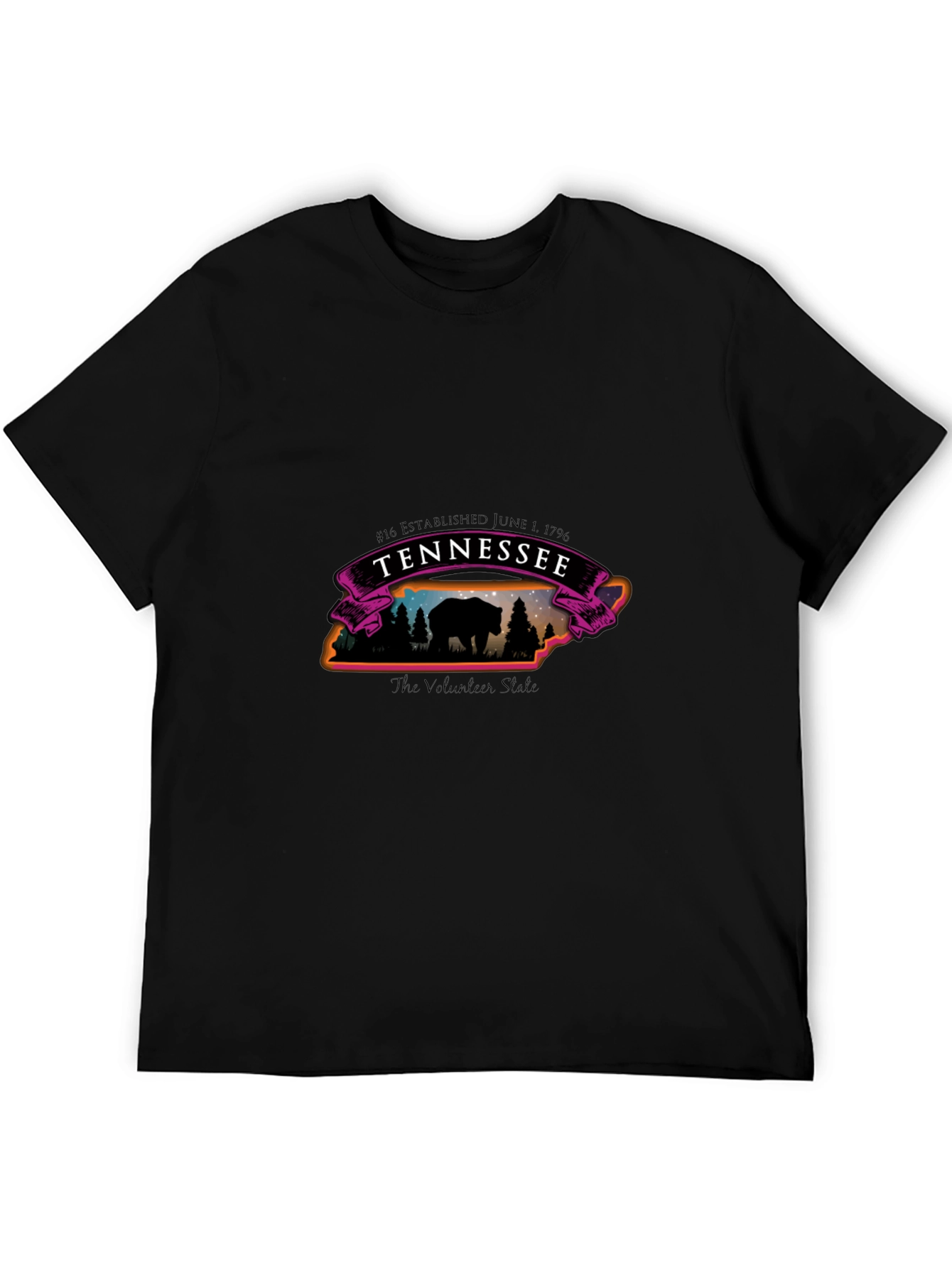 Tennessee Bear State T-Shirt