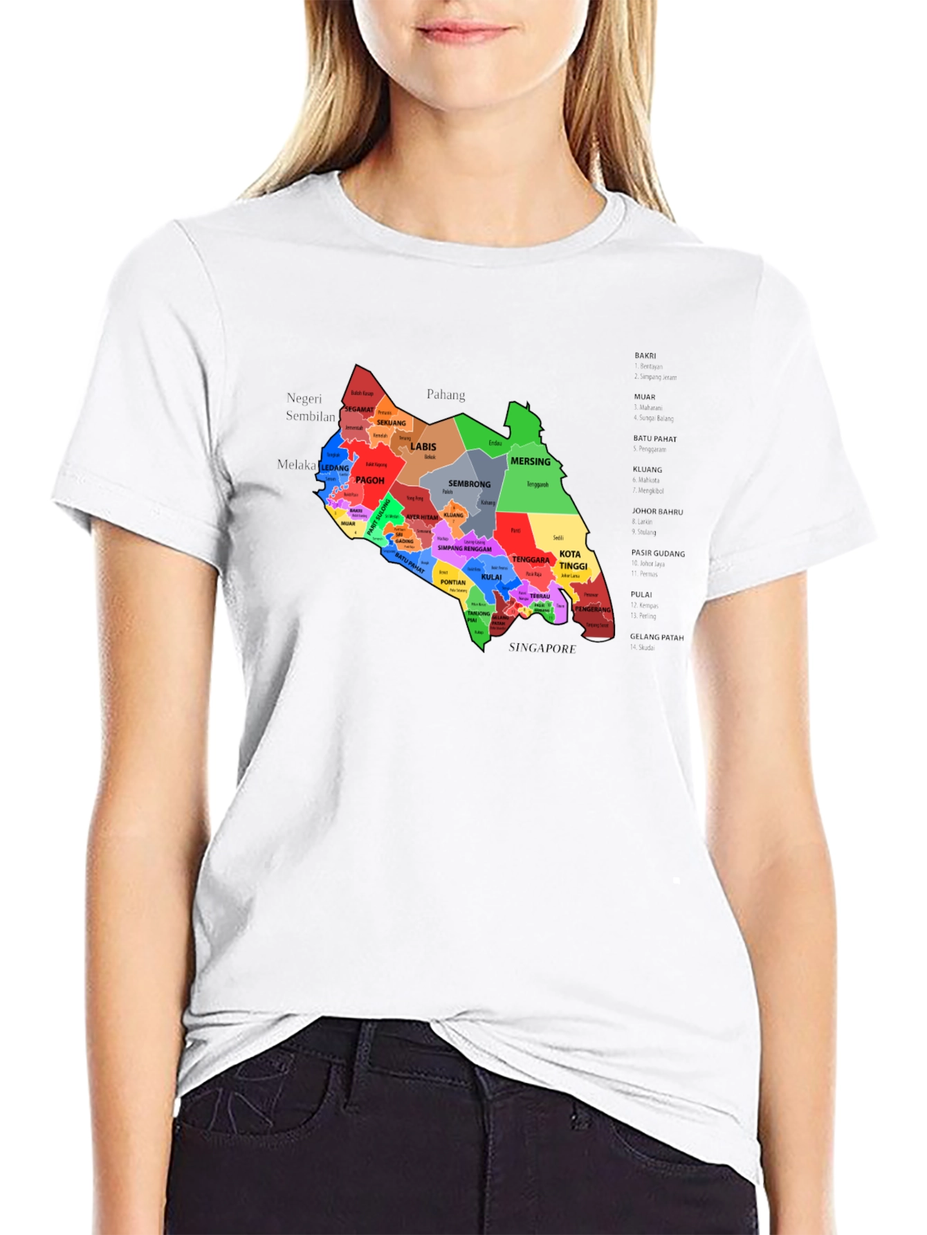 Johor Malaysia T-Shirt - Black District Map Design