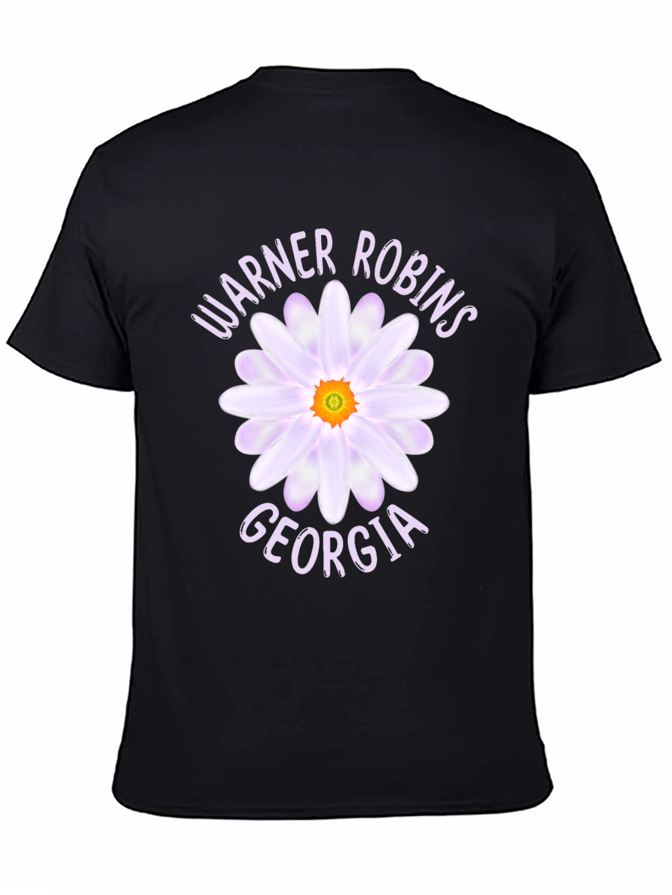 Warner Robins Georgia Daisy Graphic T-Shirt