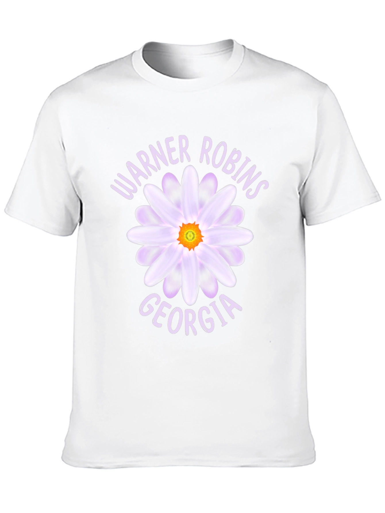 Warner Robins Georgia Daisy Graphic T-Shirt