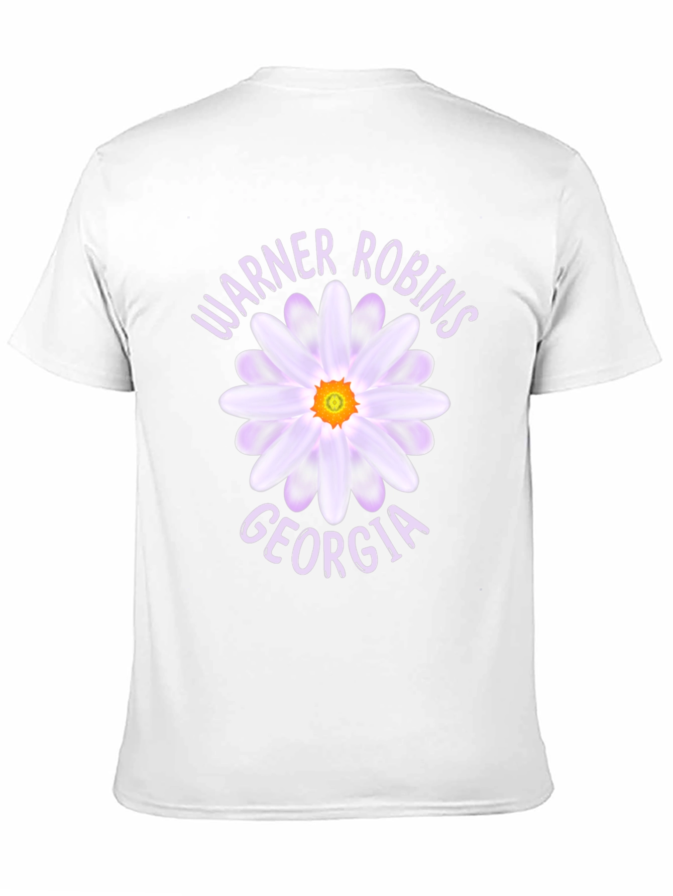 Warner Robins Georgia Daisy Graphic T-Shirt
