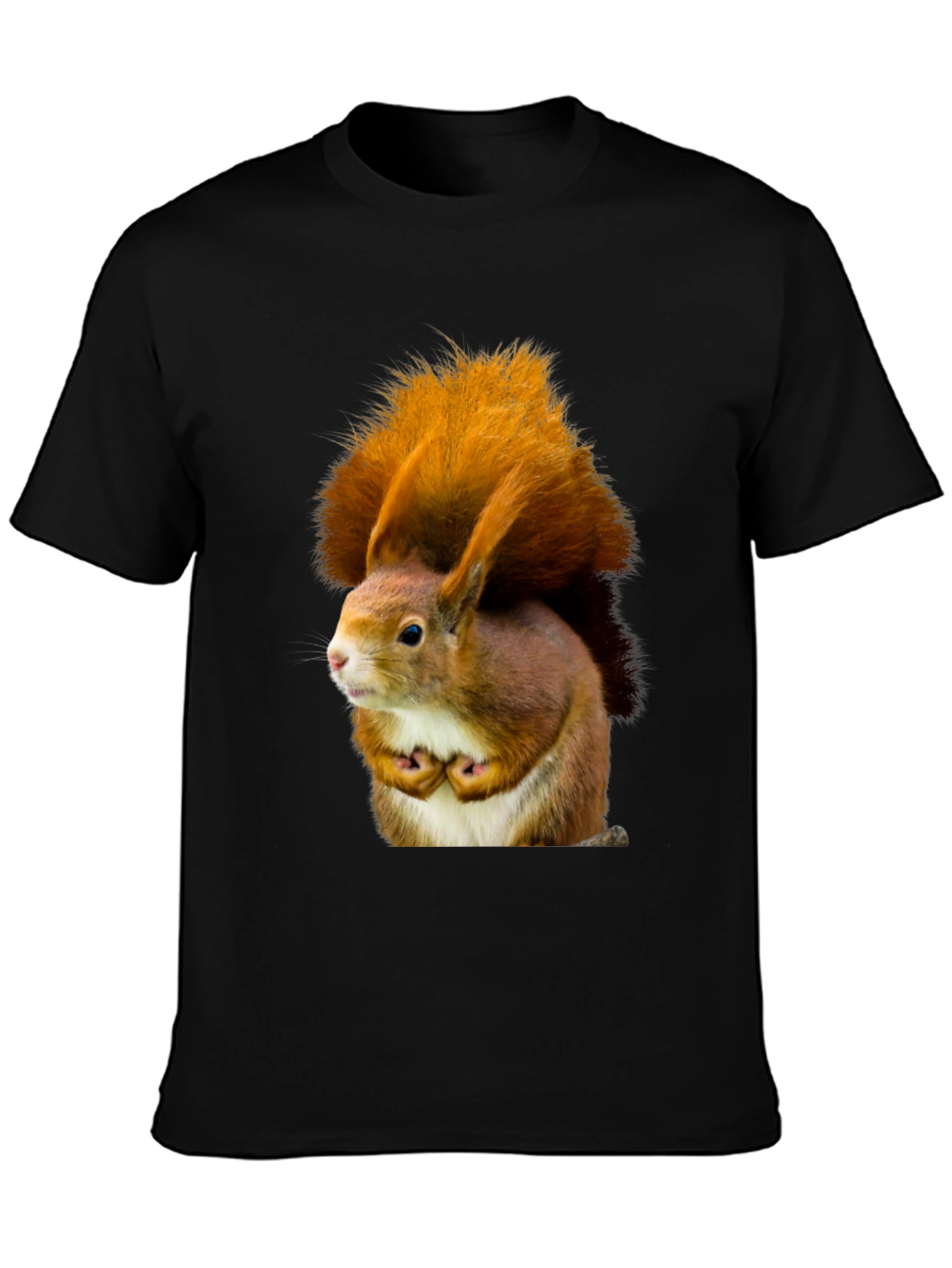 Squirrel Graphic Tee - Nature Inspired Novelty T-Shirt
