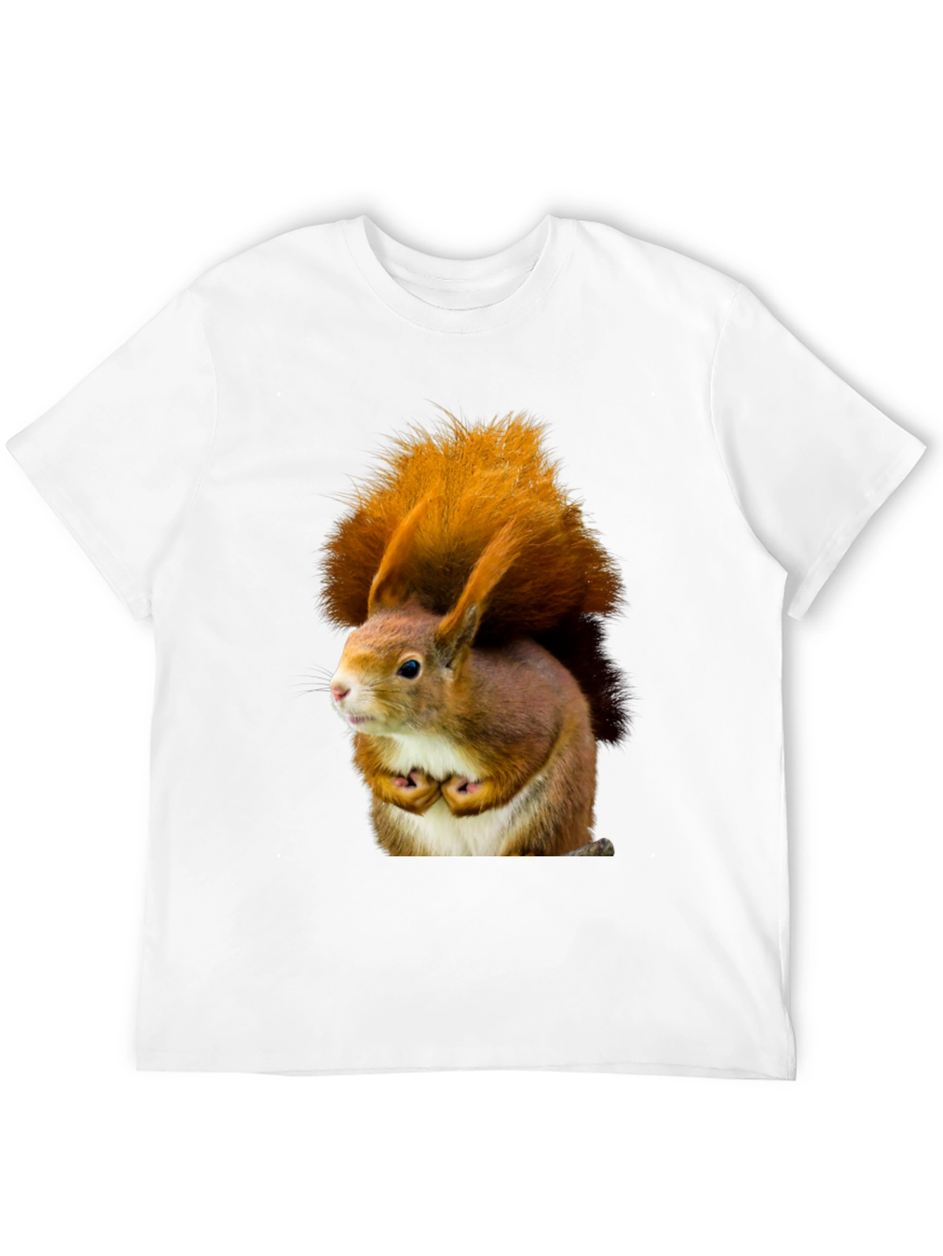 Squirrel Graphic Tee - Nature Inspired Novelty T-Shirt