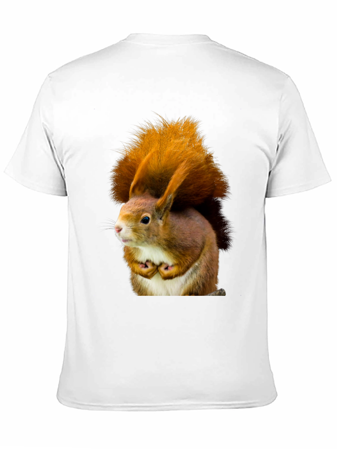 Squirrel Graphic Tee - Nature Inspired Novelty T-Shirt