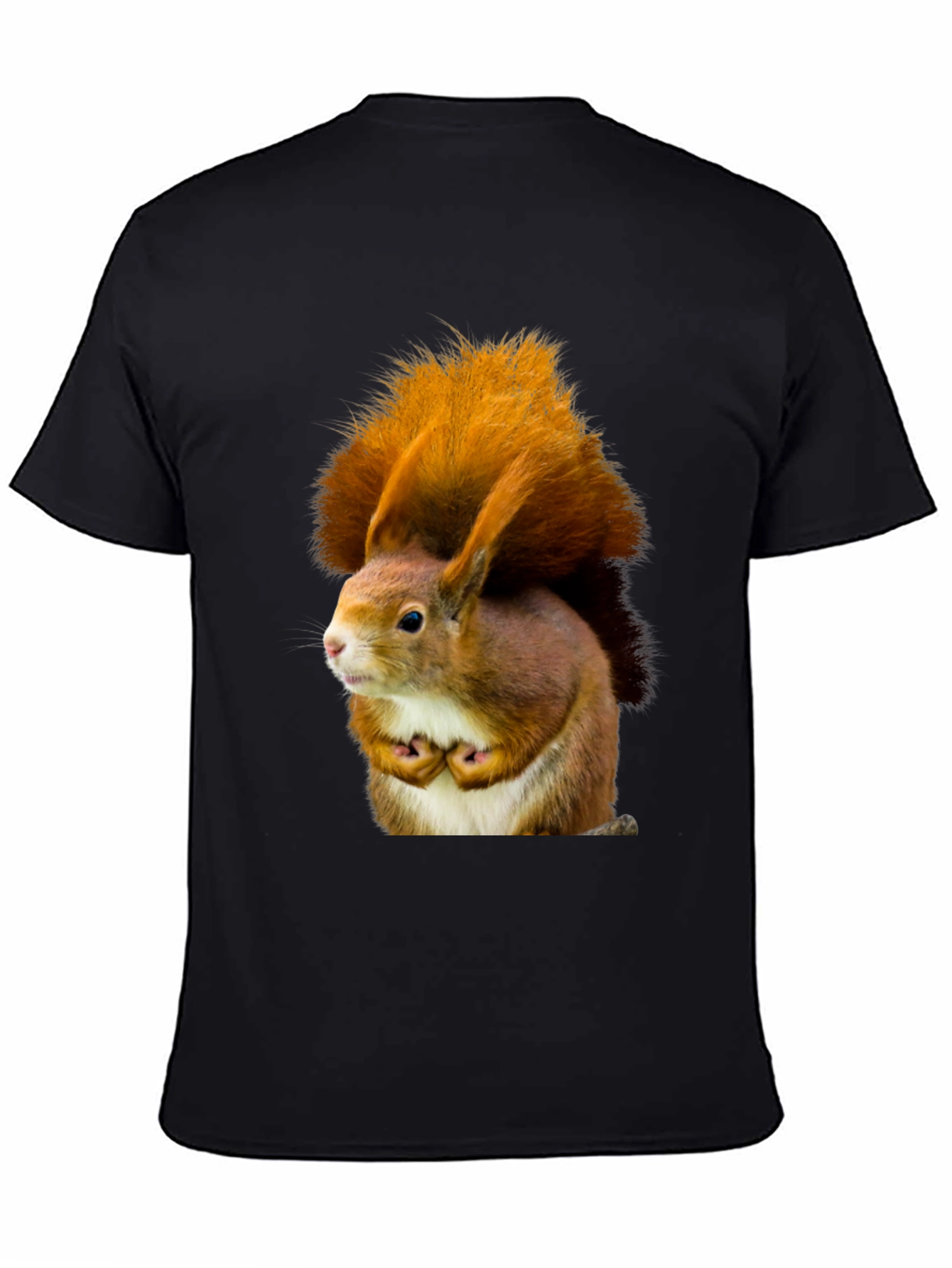 Squirrel Graphic Tee - Nature Inspired Novelty T-Shirt