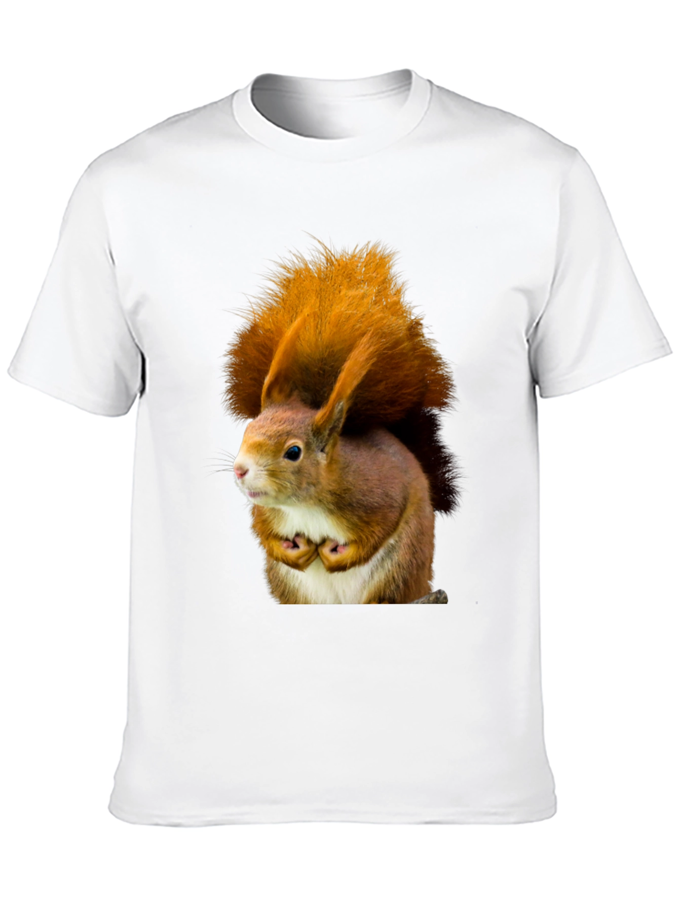 Squirrel Graphic Tee - Nature Inspired Novelty T-Shirt