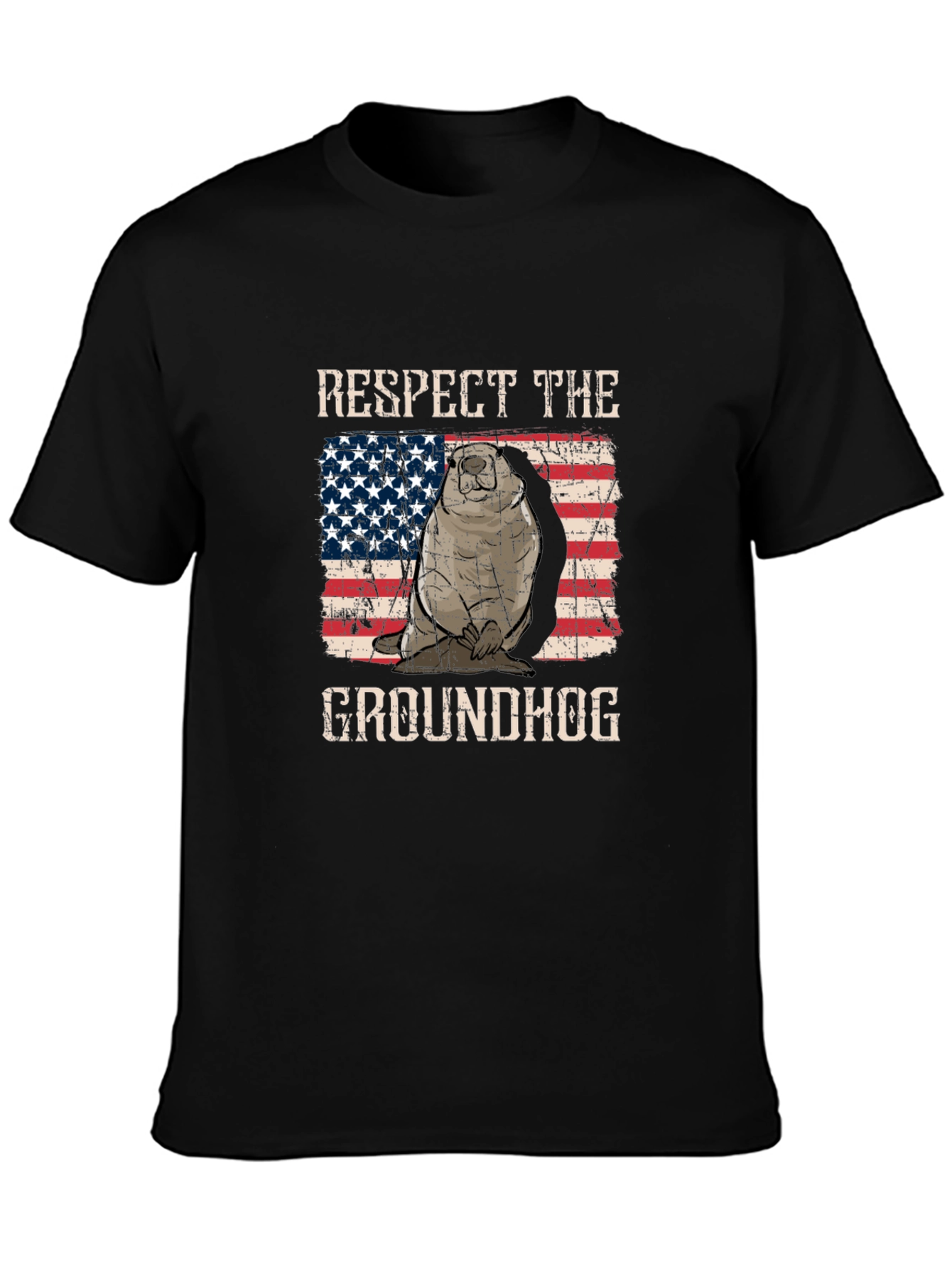 Respect the Groundhog USA Flag Graphic Tee