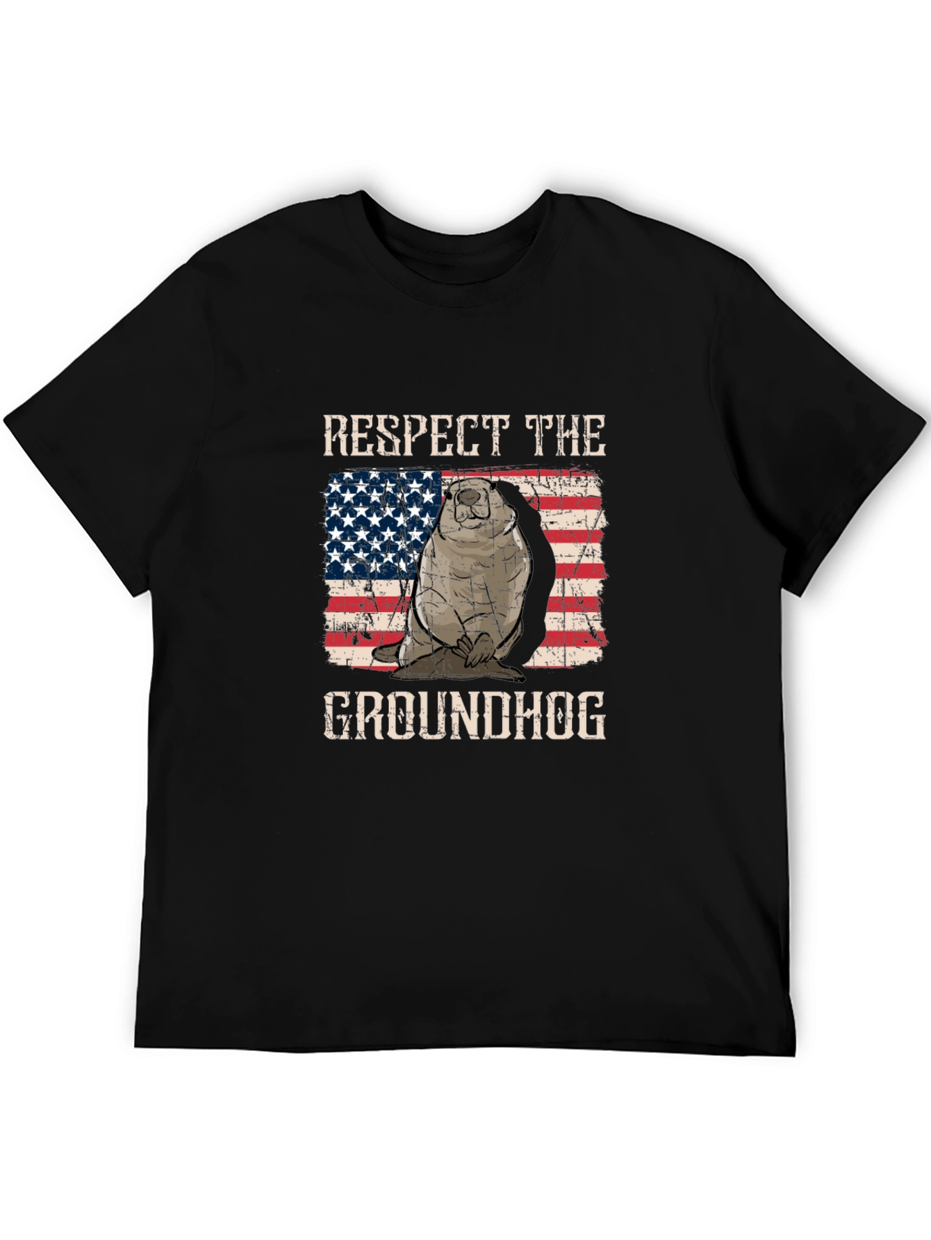 Respect the Groundhog USA Flag Graphic Tee
