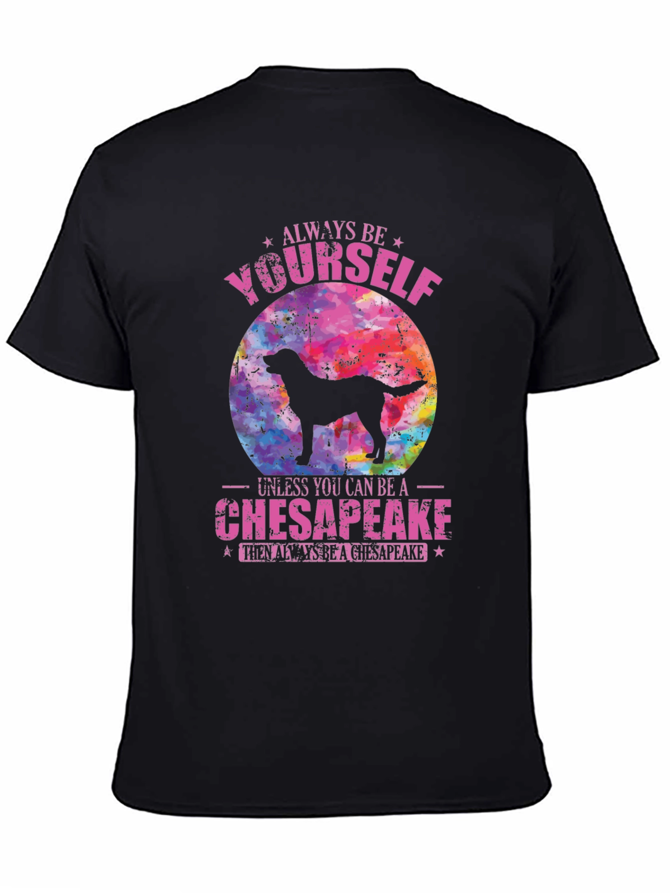 Always Be Yourself Chesapeake T-Shirt