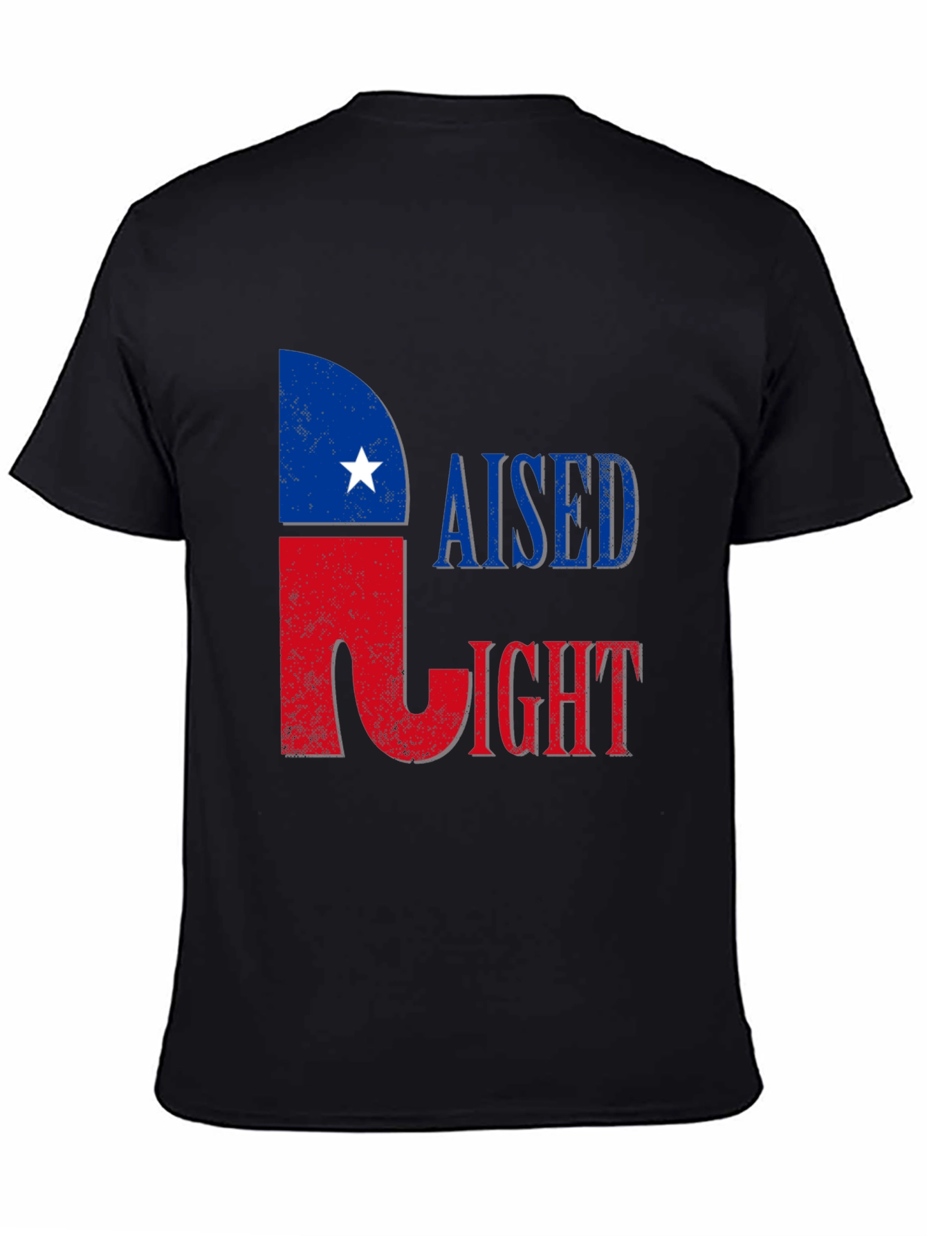 Raised Right T-Shirt - Patriotic Texas Pride Tee