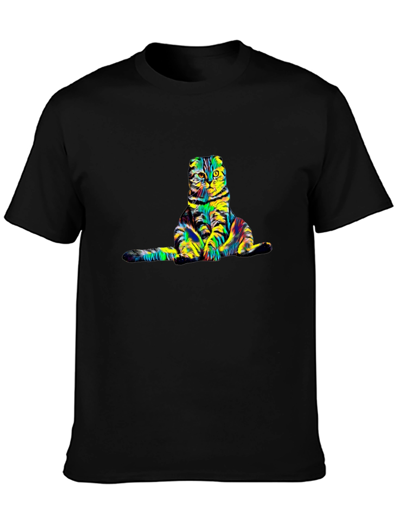 Colorful Cat Graphic Tee