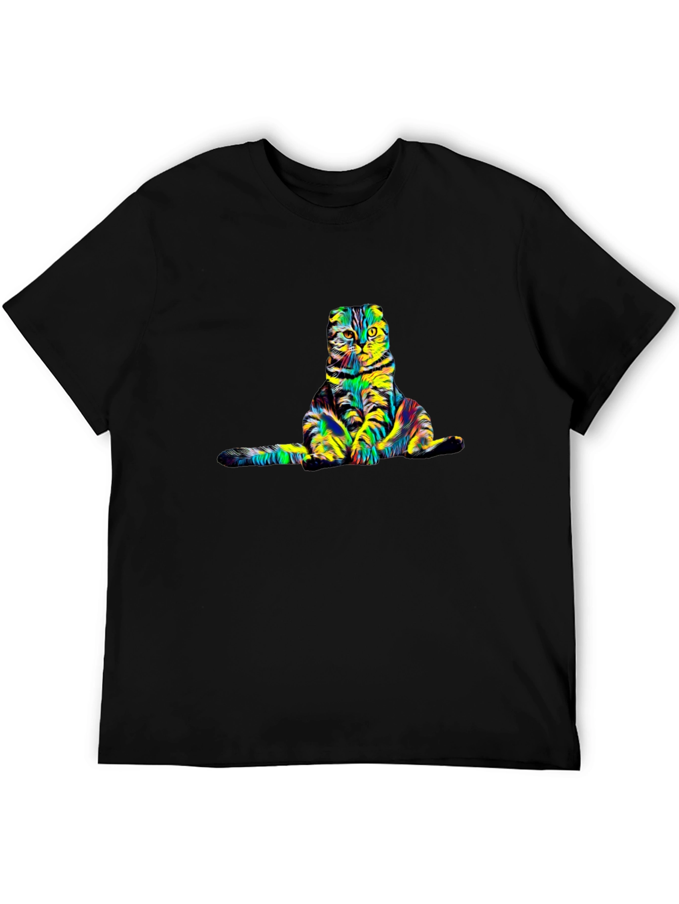 Colorful Cat Graphic Tee