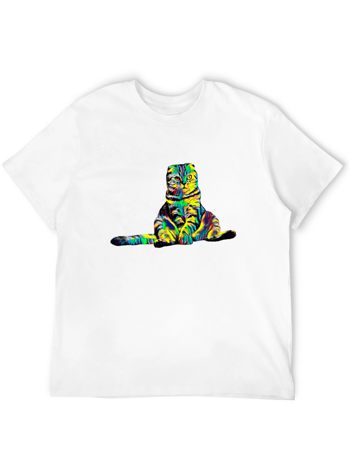 Colorful Cat Graphic Tee