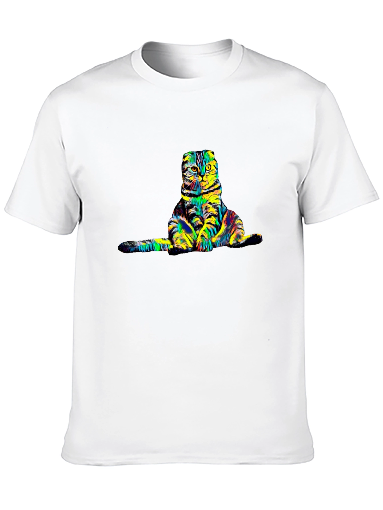 Colorful Cat Graphic Tee